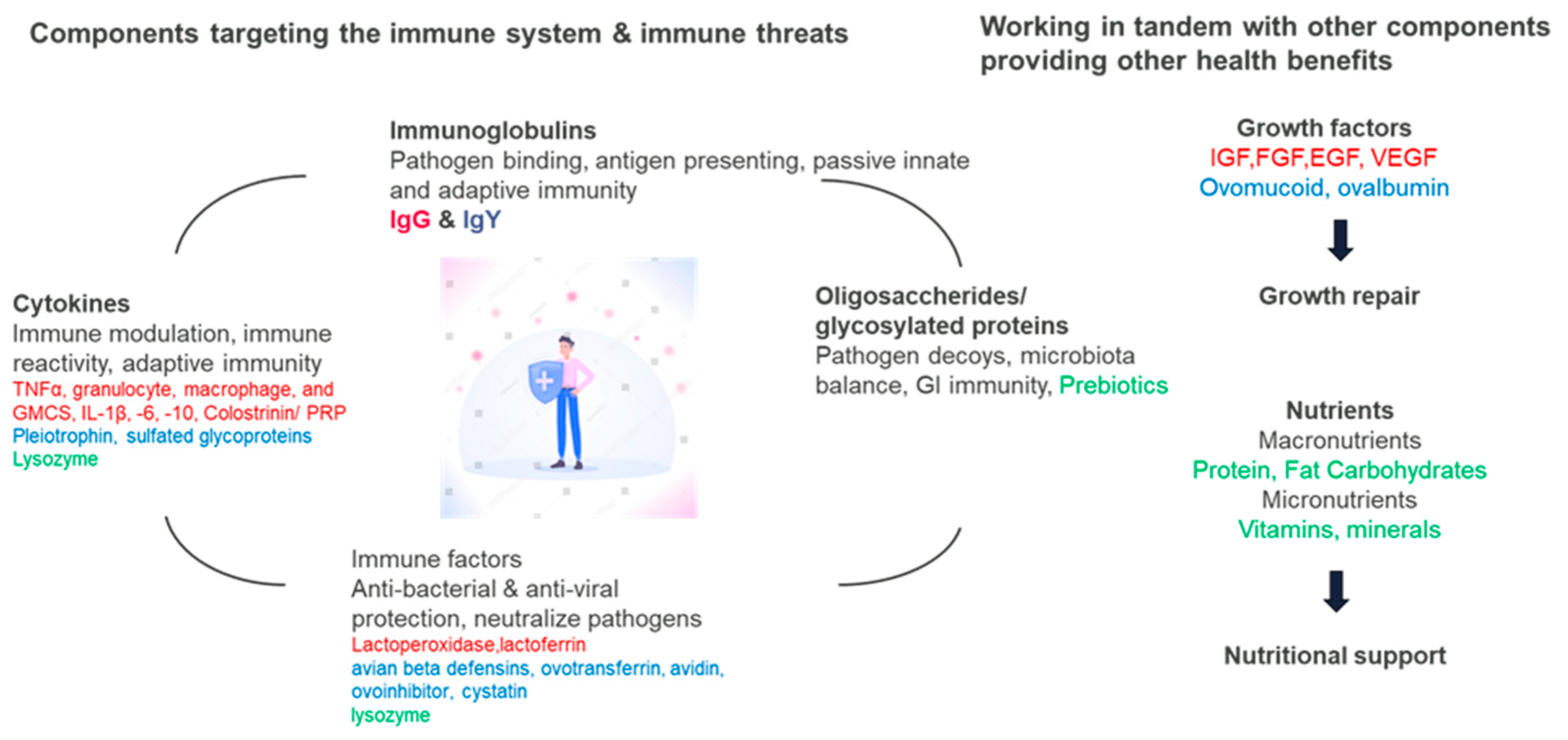 Nutrients 16 03684 g001