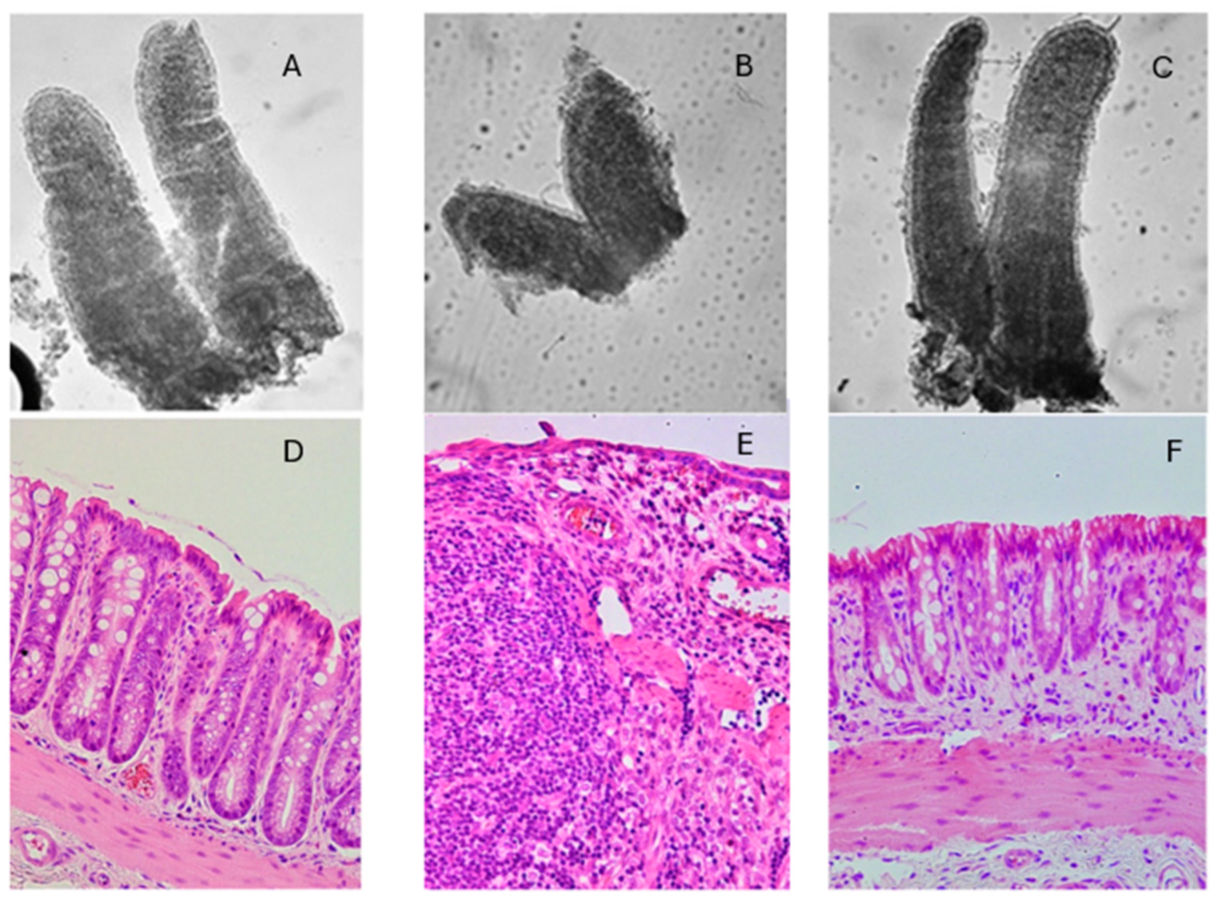 Nutrients 16 03684 g002