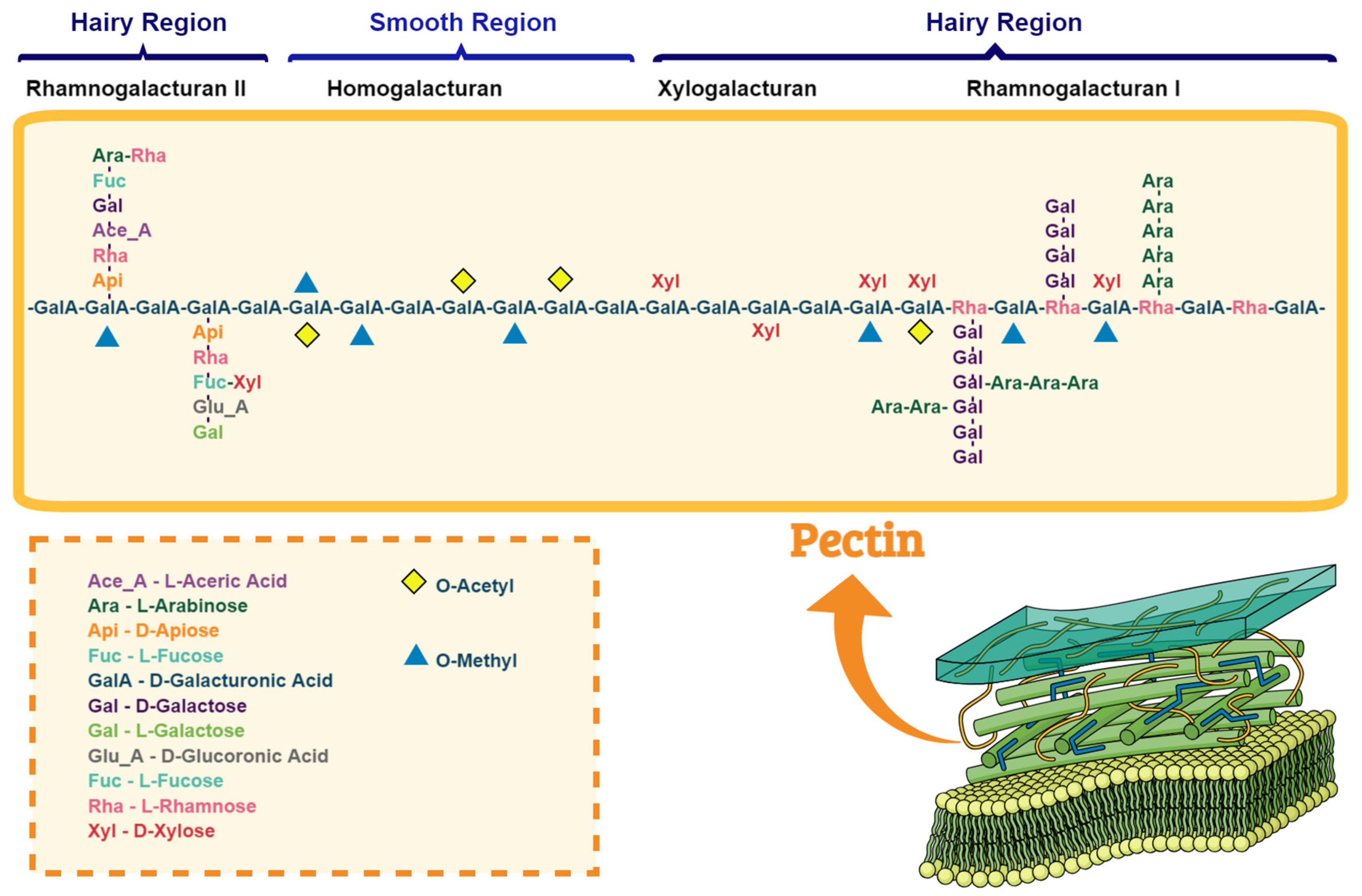 Nutrients 16 03689 g004