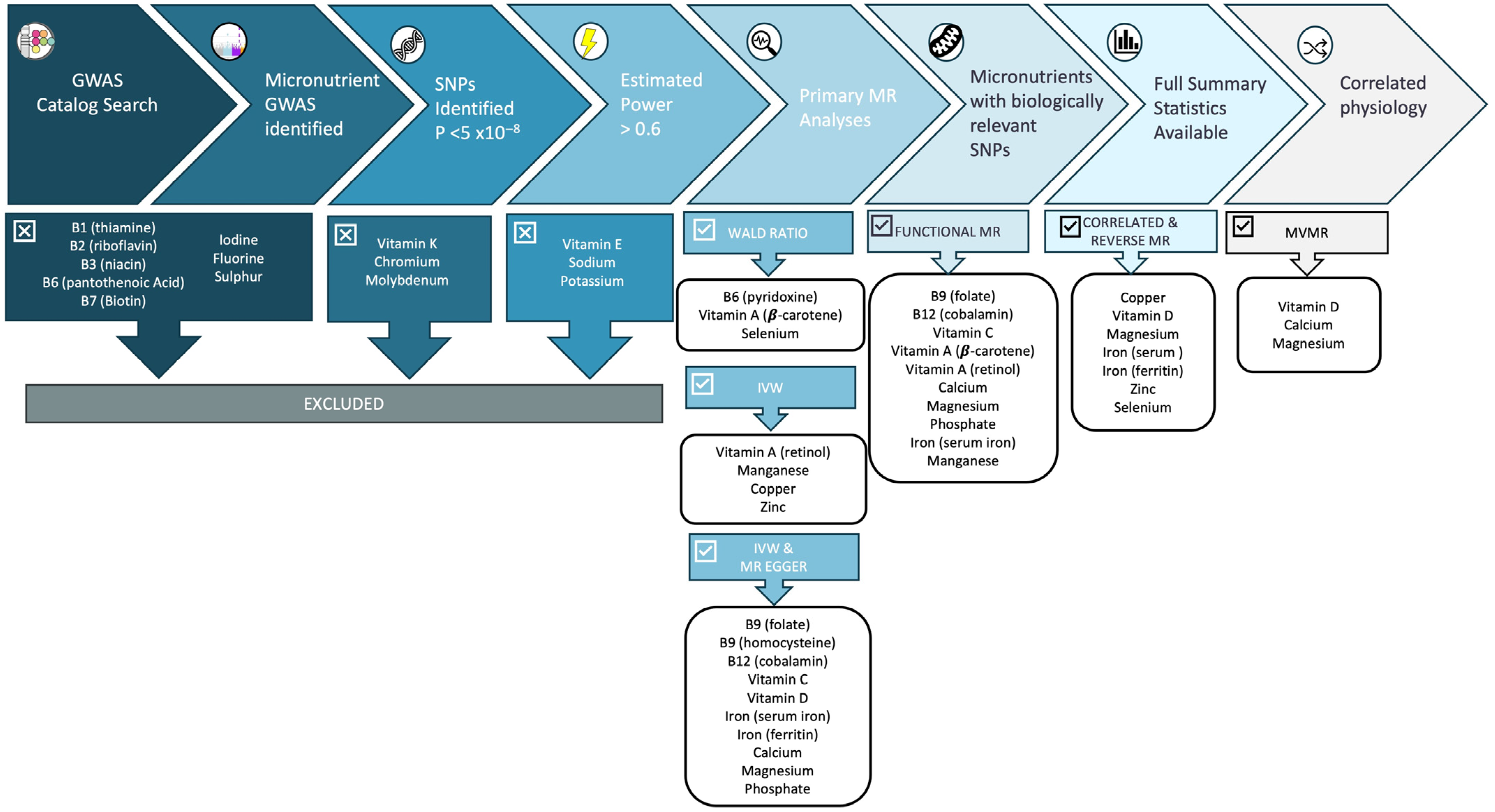 Nutrients 16 03690 g002