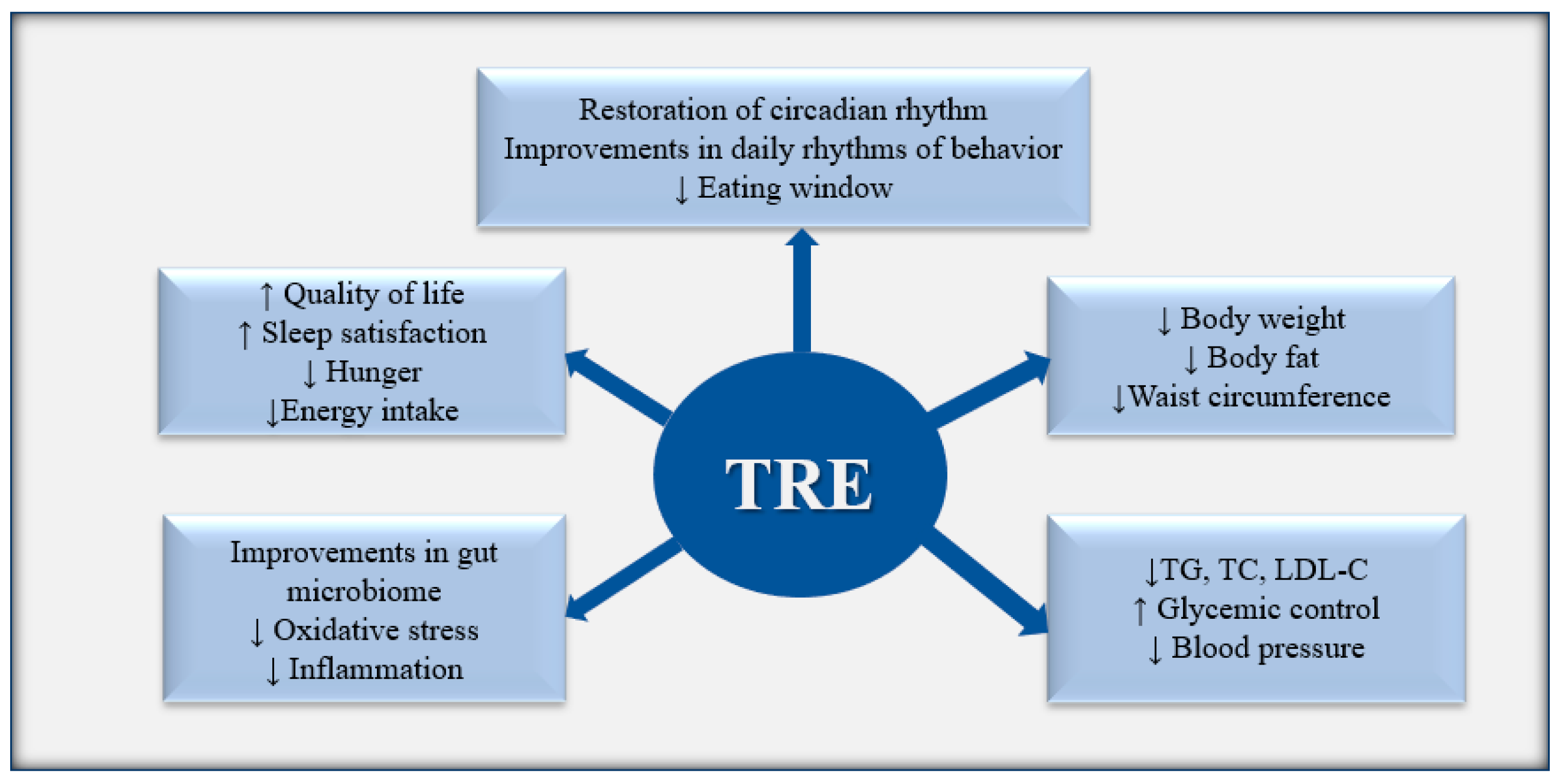 Nutrients 16 03700 g002