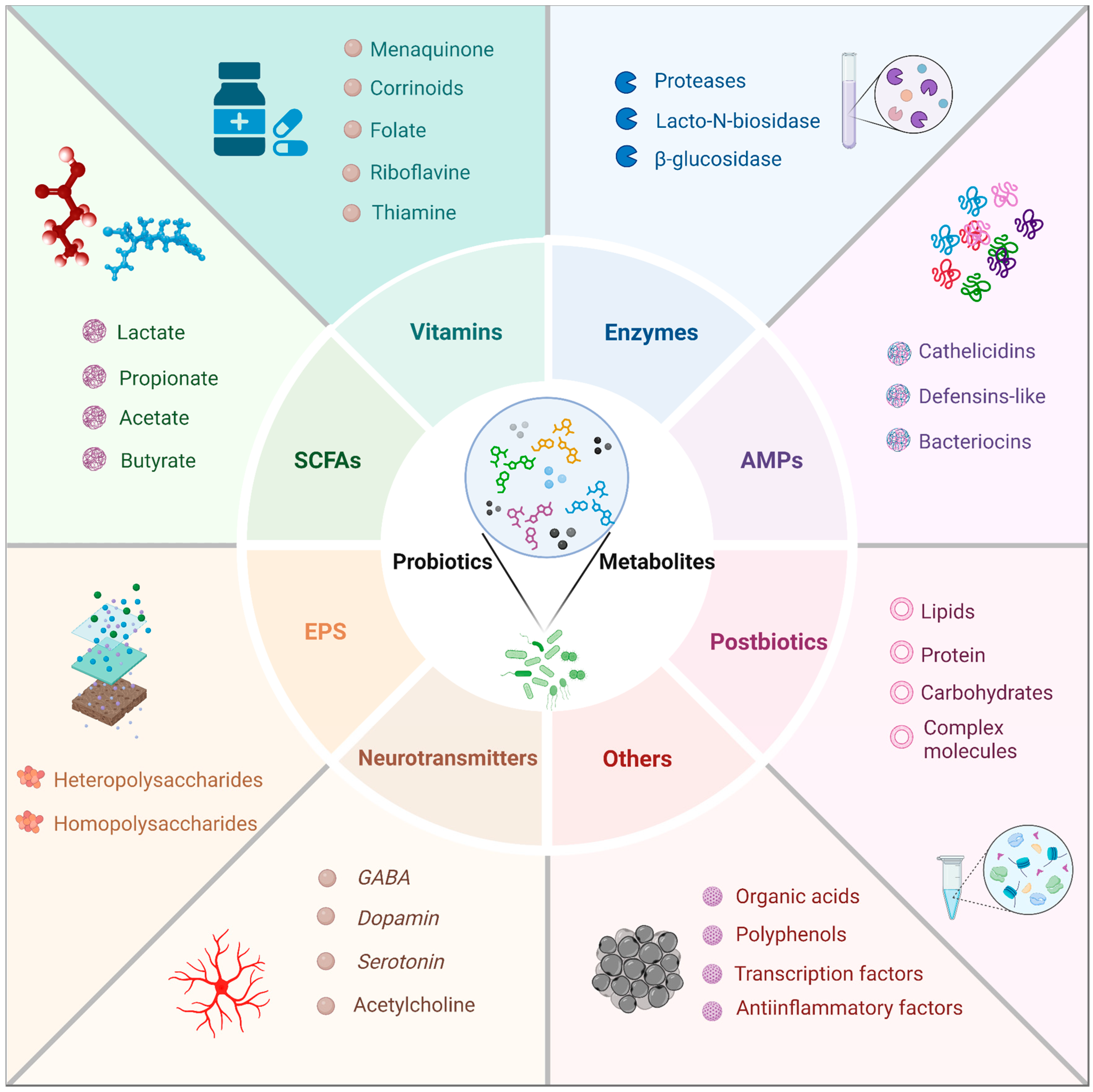 Nutrients 16 03706 g003 Nutrients 16 03706 g003