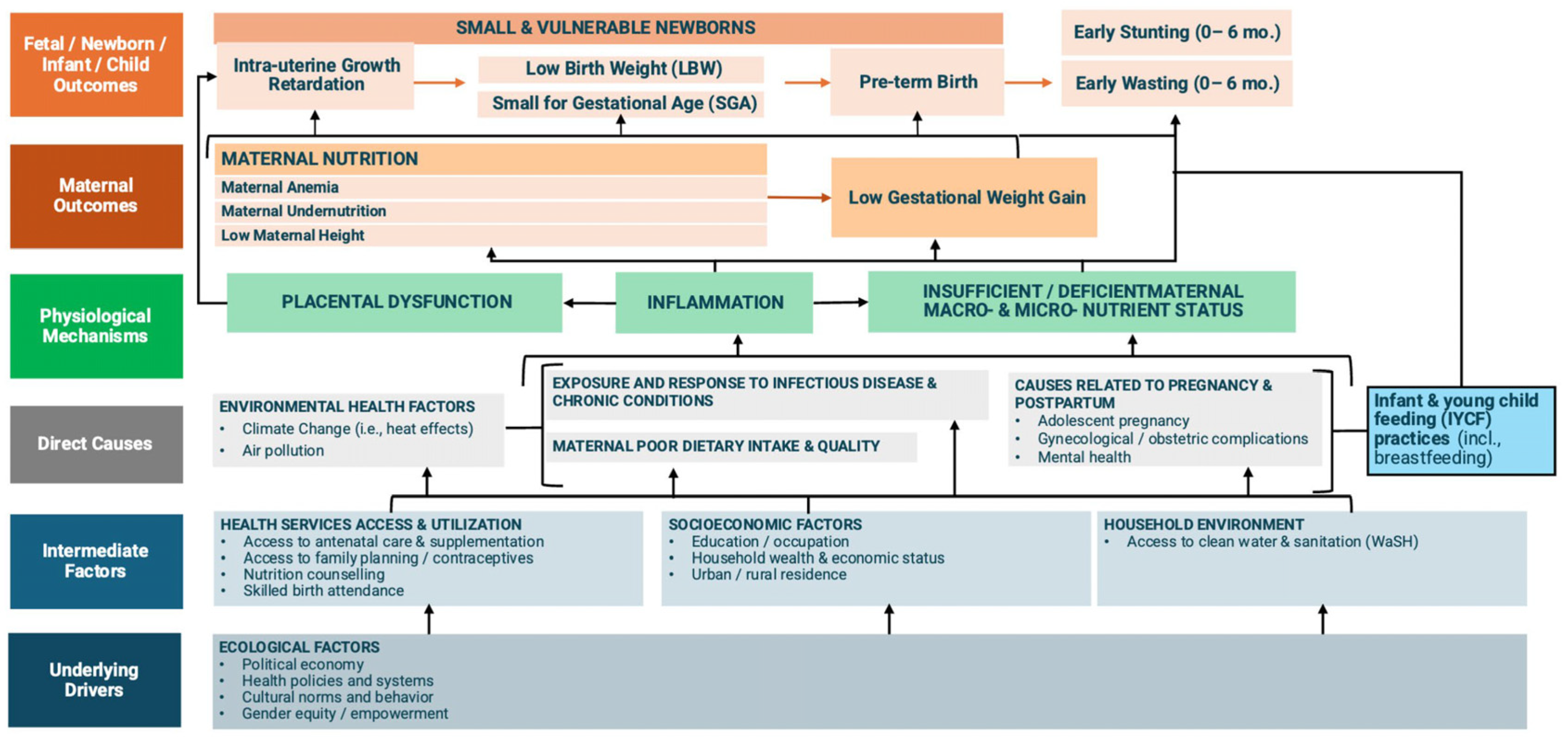 Nutrients 16 03725 g001