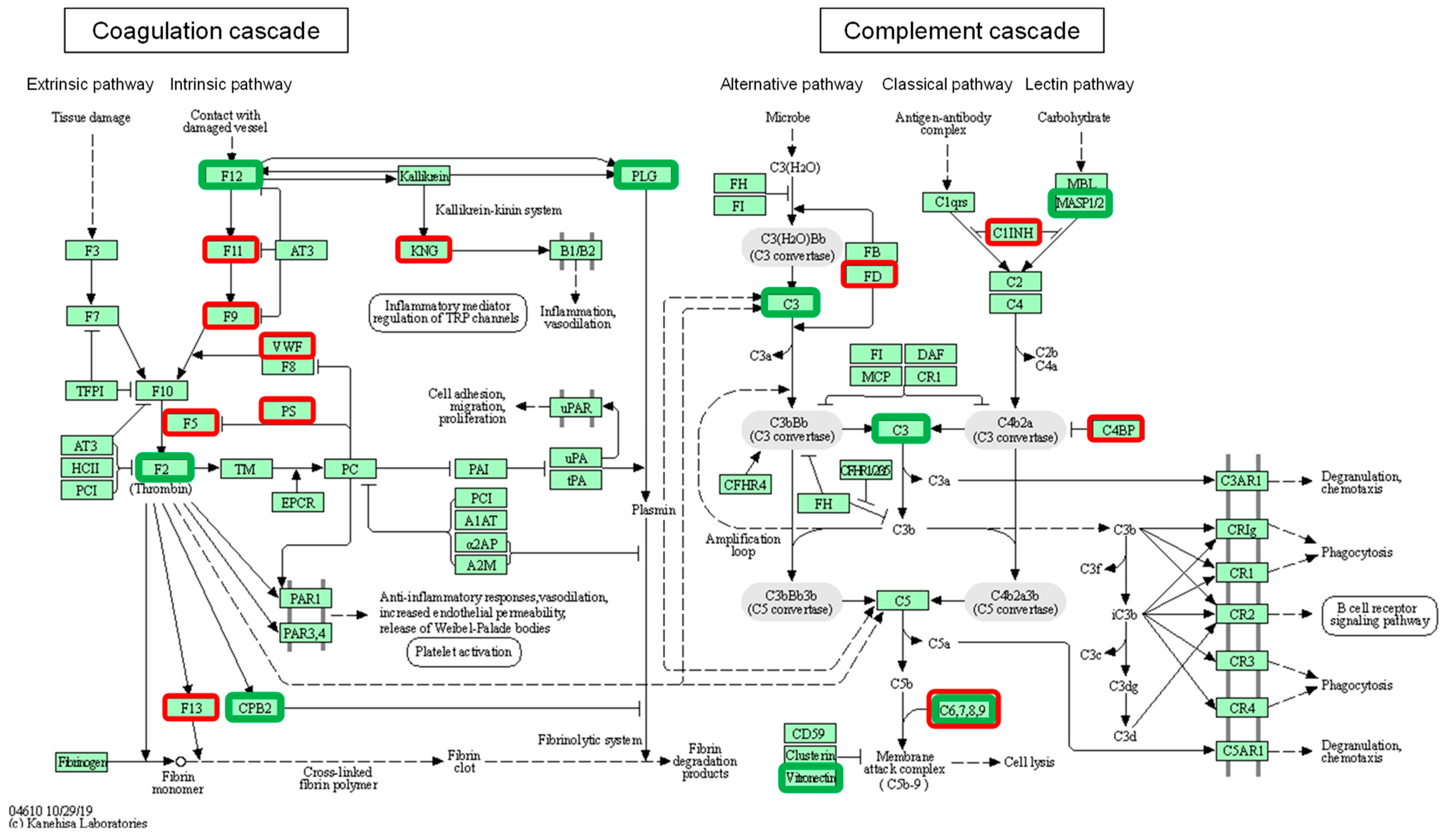 Nutrients 16 03739 g003