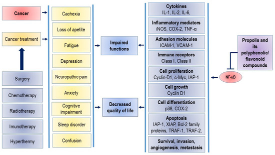 Potential Strategies for Overcoming Drug Resistance Pathways