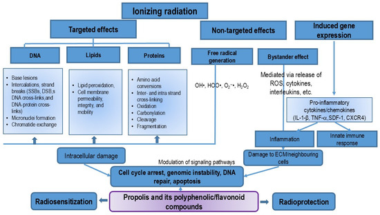 Potential Strategies for Overcoming Drug Resistance Pathways Potential Strategies for Overcoming Drug Resistance Pathways
