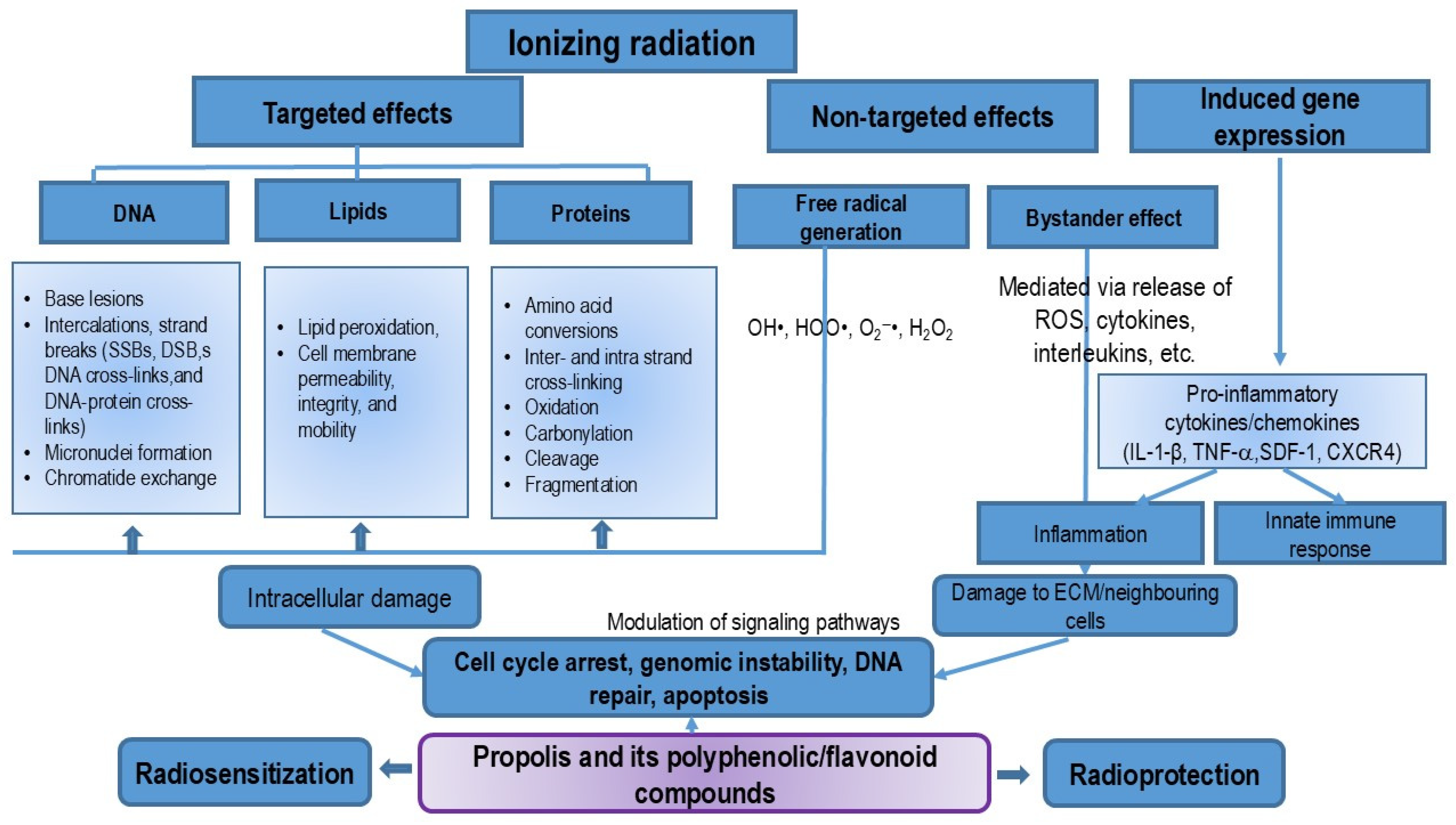Nutrients 16 03741 g004
