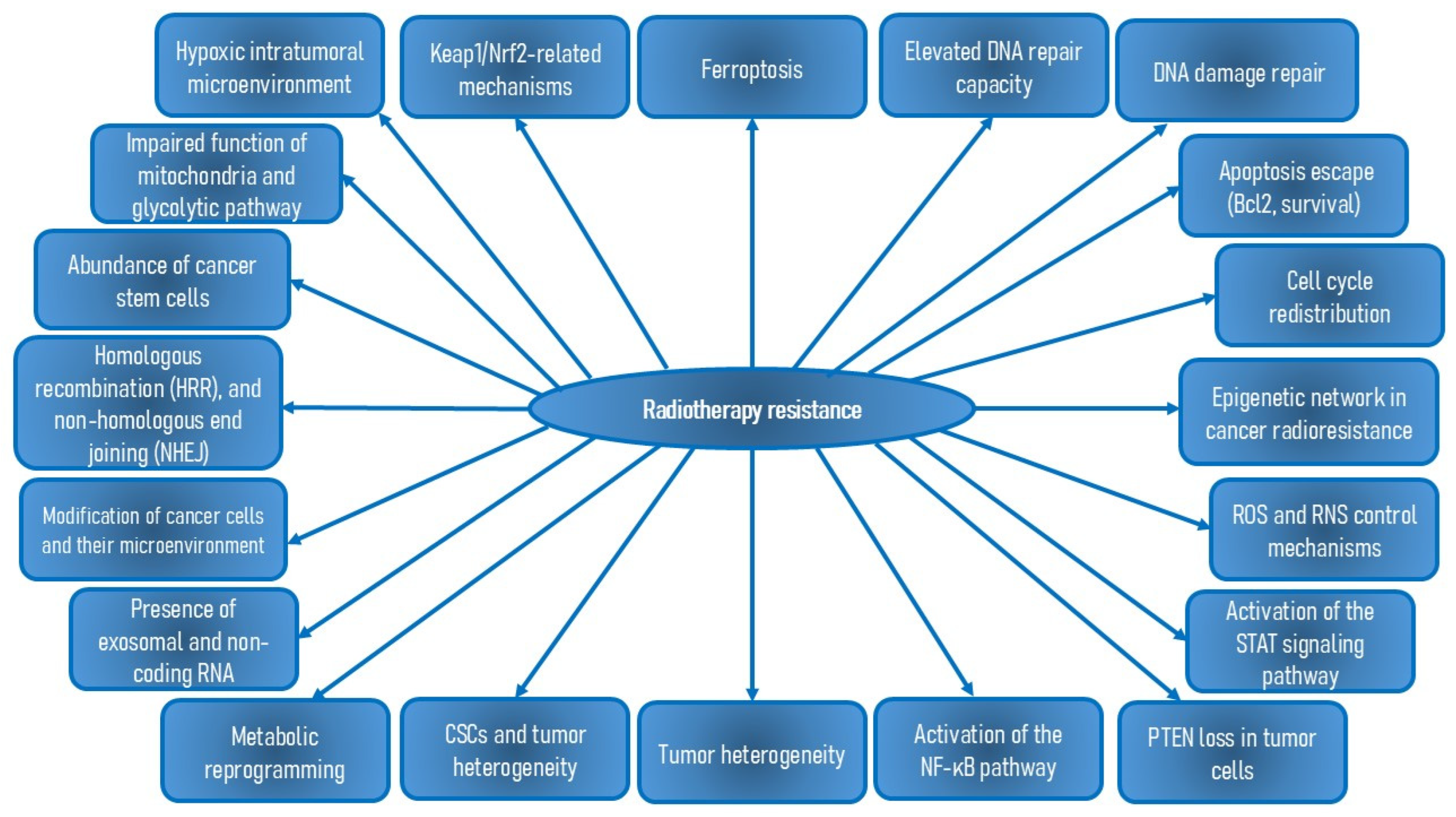 Nutrients 16 03741 g005