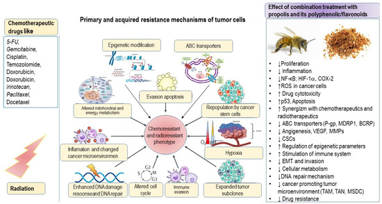 Potential Strategies for Overcoming Drug Resistance Pathways Potential Strategies for Overcoming Drug Resistance Pathways