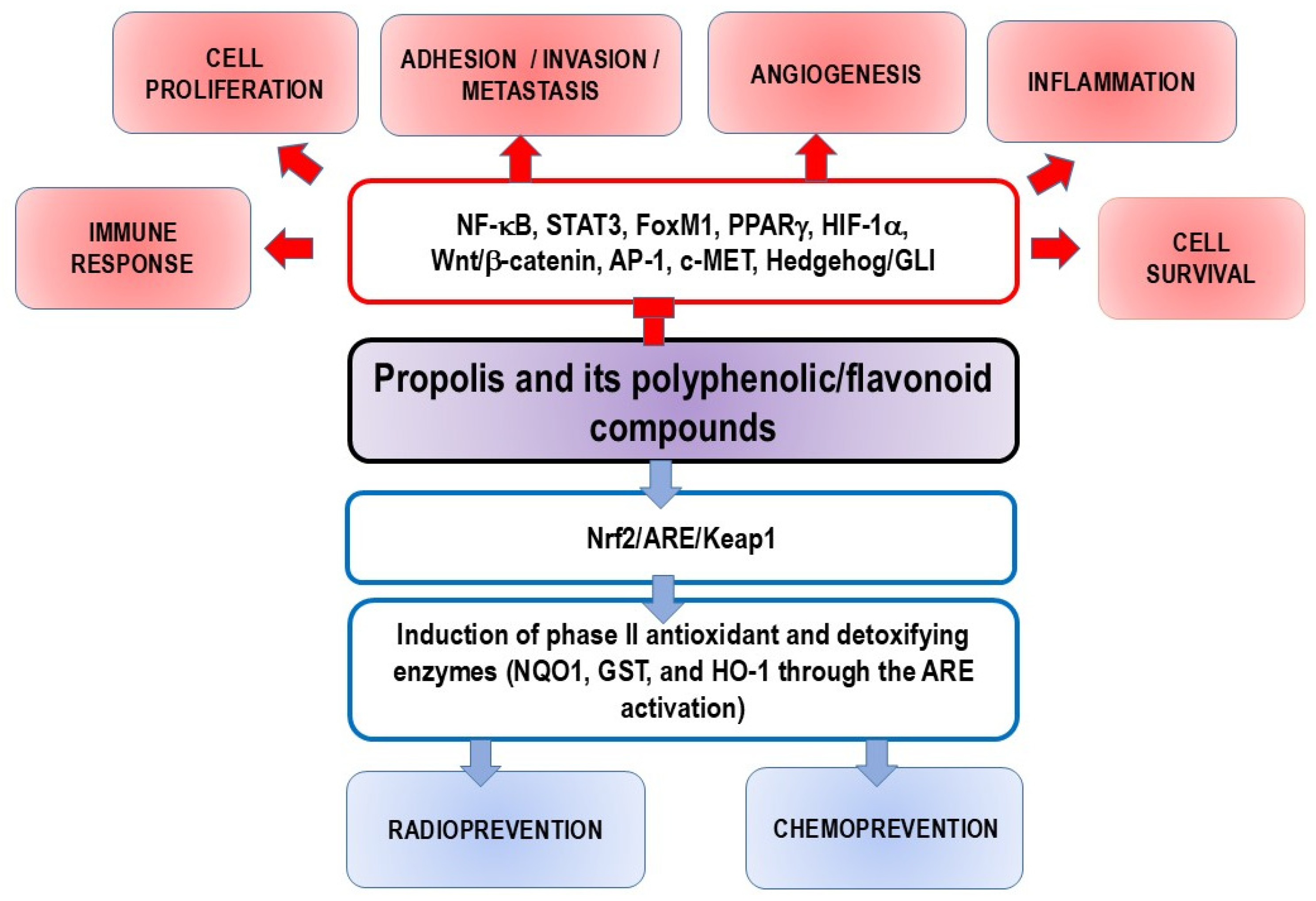 Nutrients 16 03741 g008
