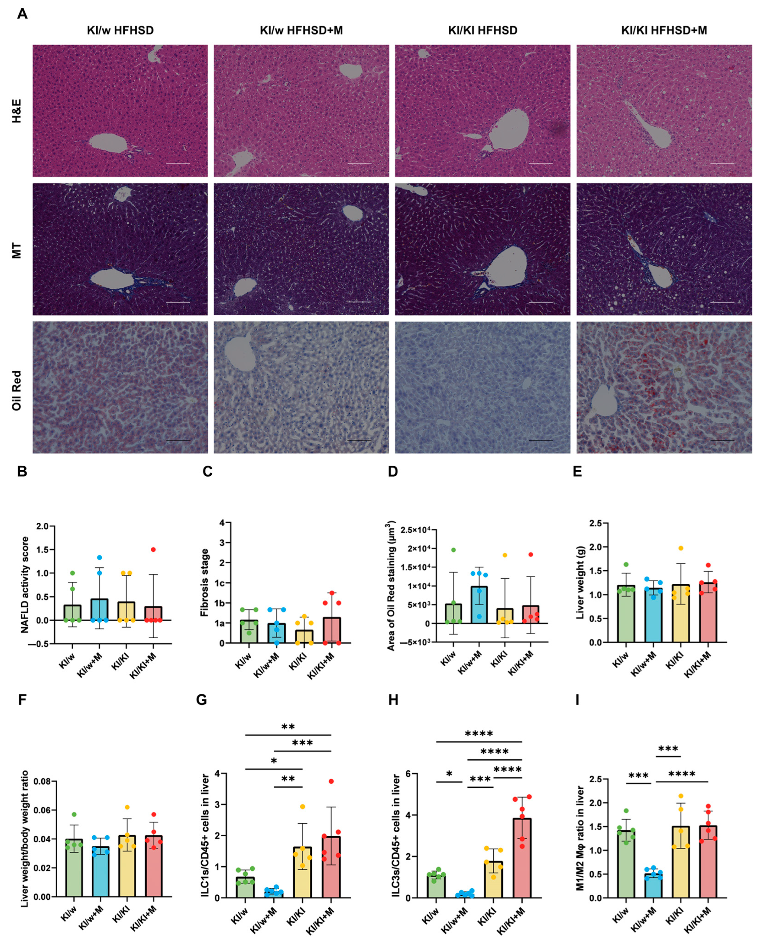 Nutrients 16 03743 g005
