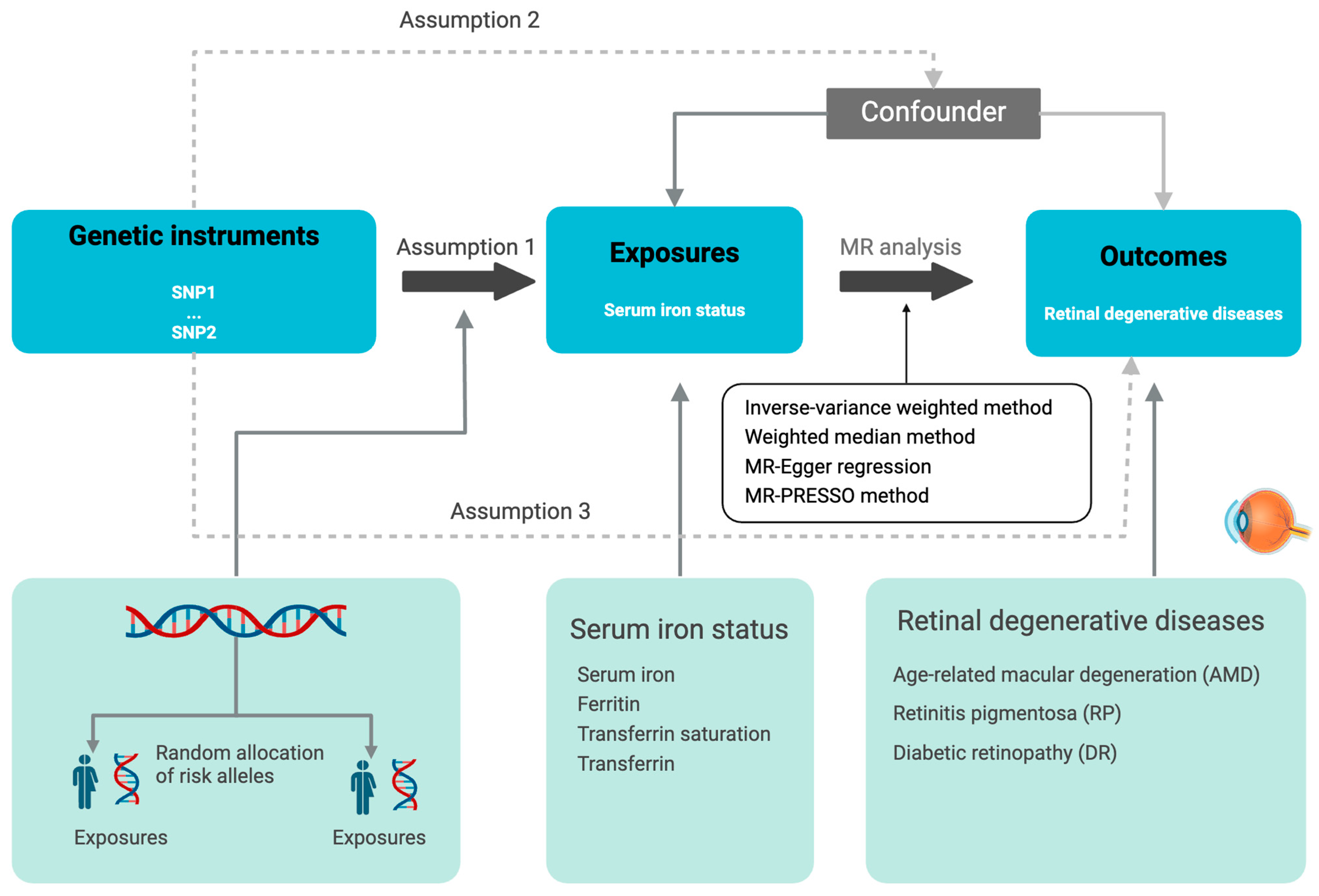 Nutrients 16 03747 g001