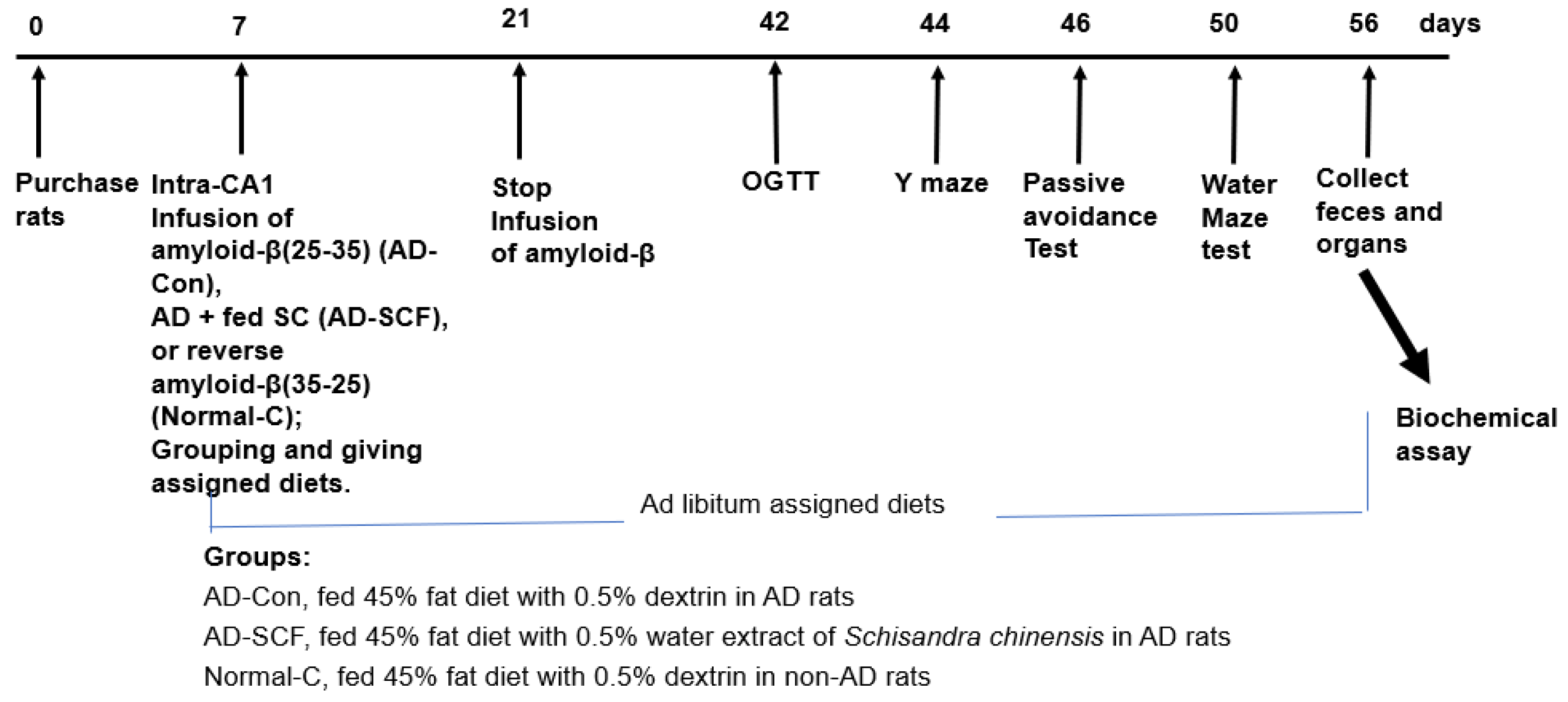 Nutrients 16 03751 g001