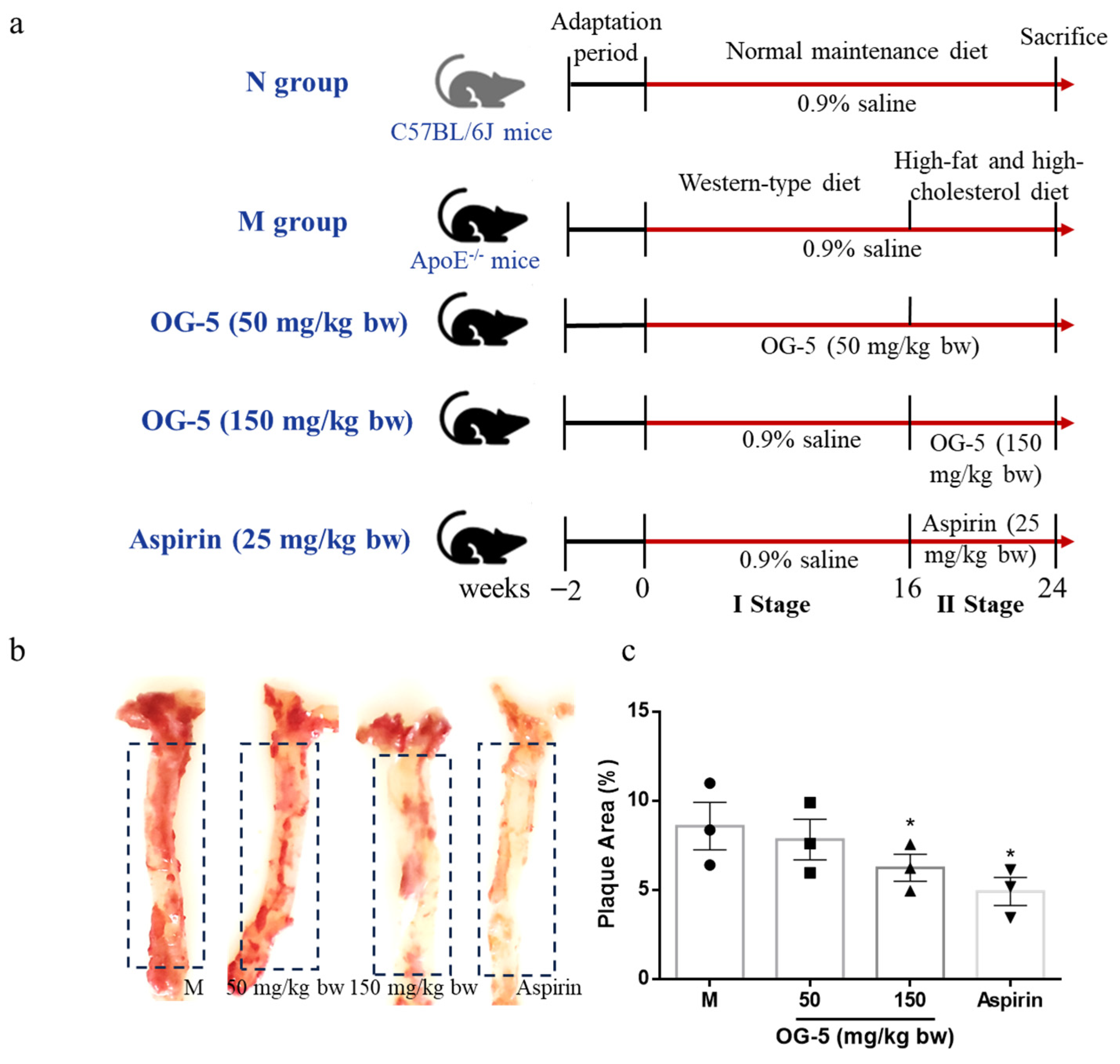 Nutrients 16 03752 g001 Nutrients 16 03752 g001