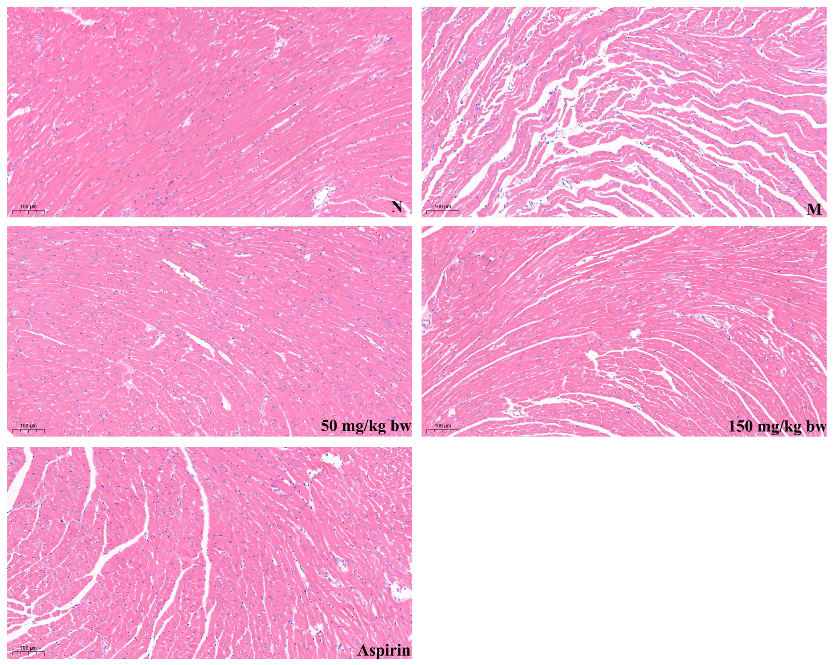 Nutrients 16 03752 g003 Nutrients 16 03752 g003