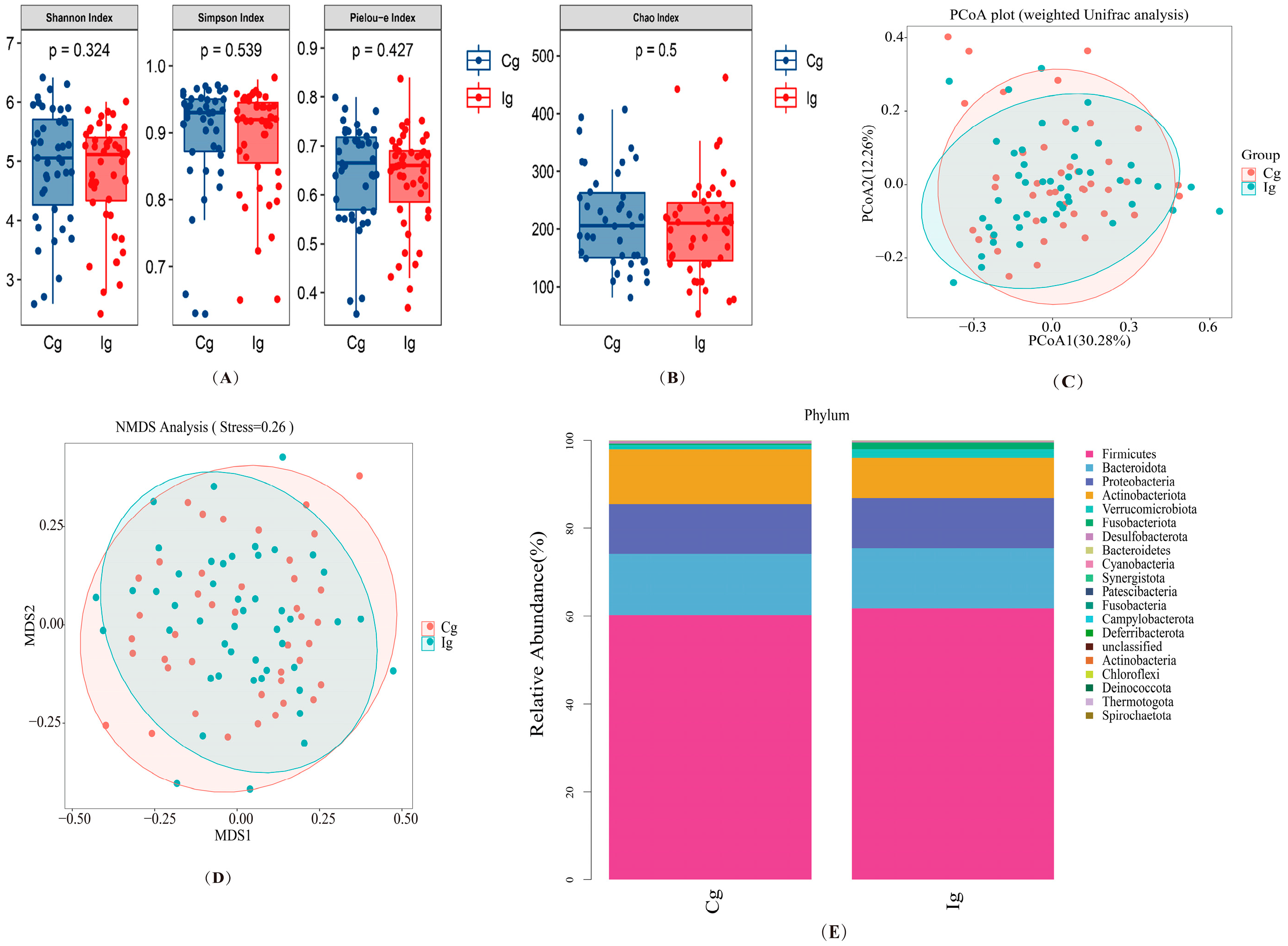 Nutrients 16 03755 g002