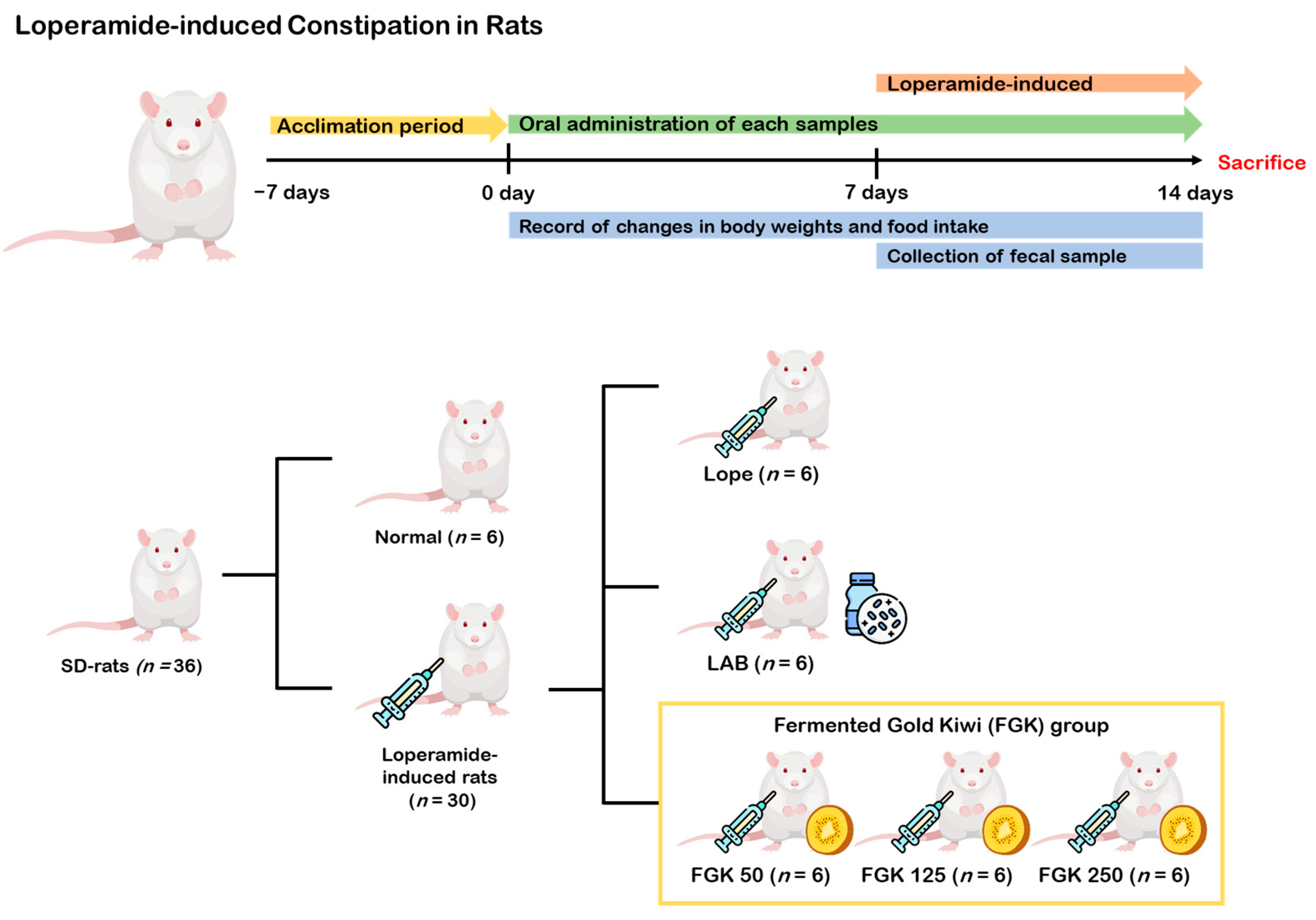 Nutrients 16 03778 g002
