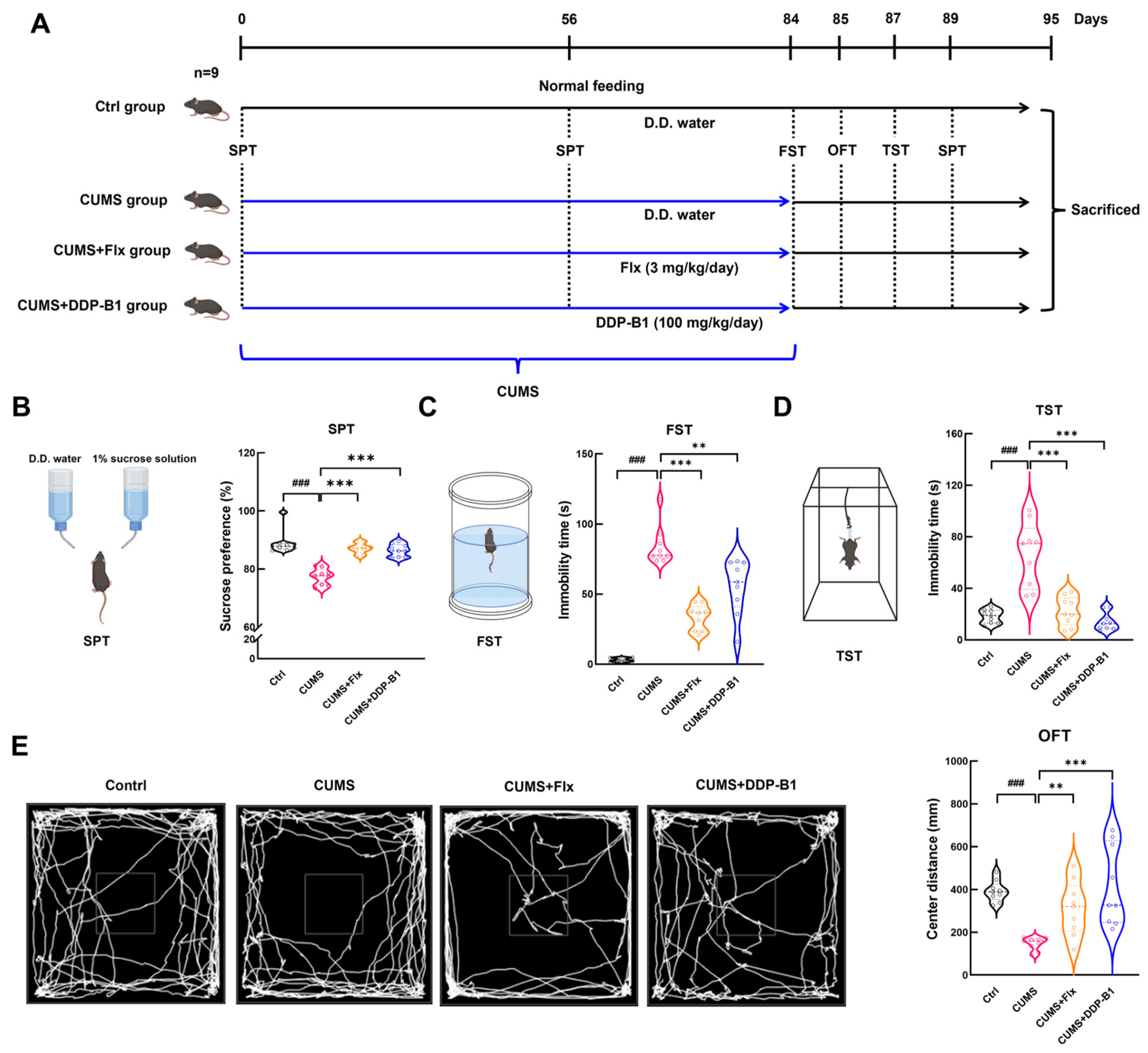 Nutrients 16 03785 g002