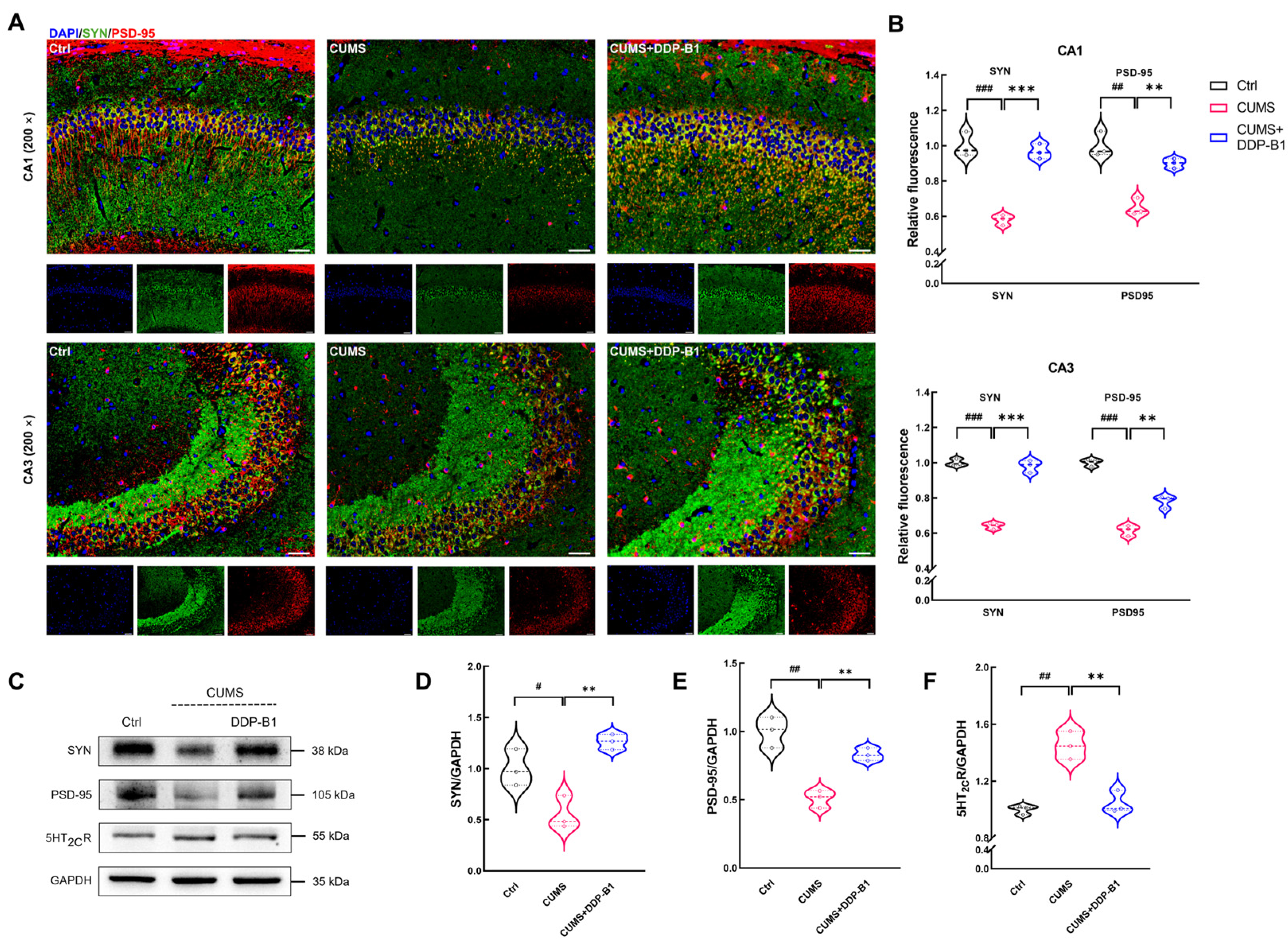 Nutrients 16 03785 g003