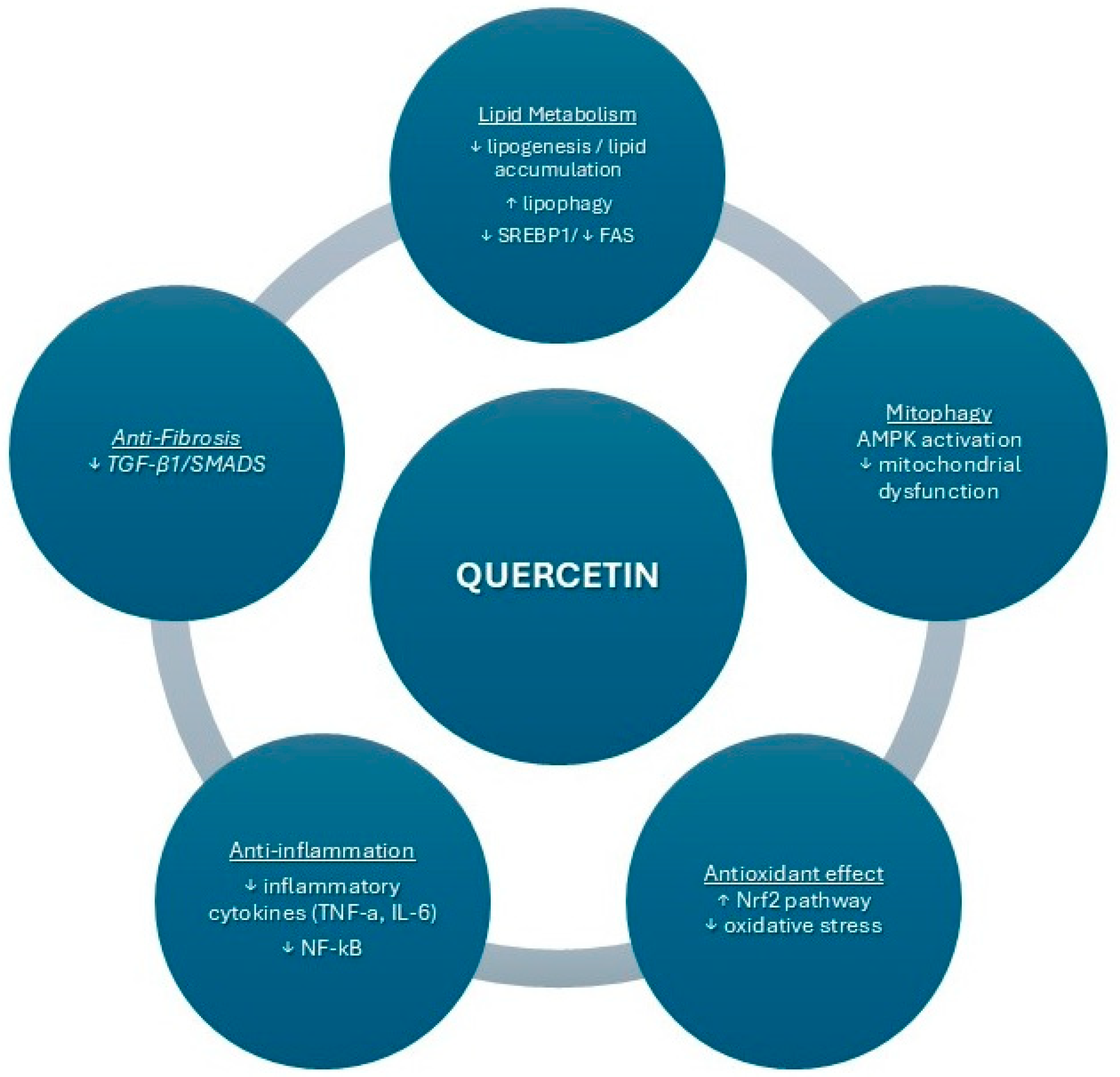 Nutrients 16 03789 g001