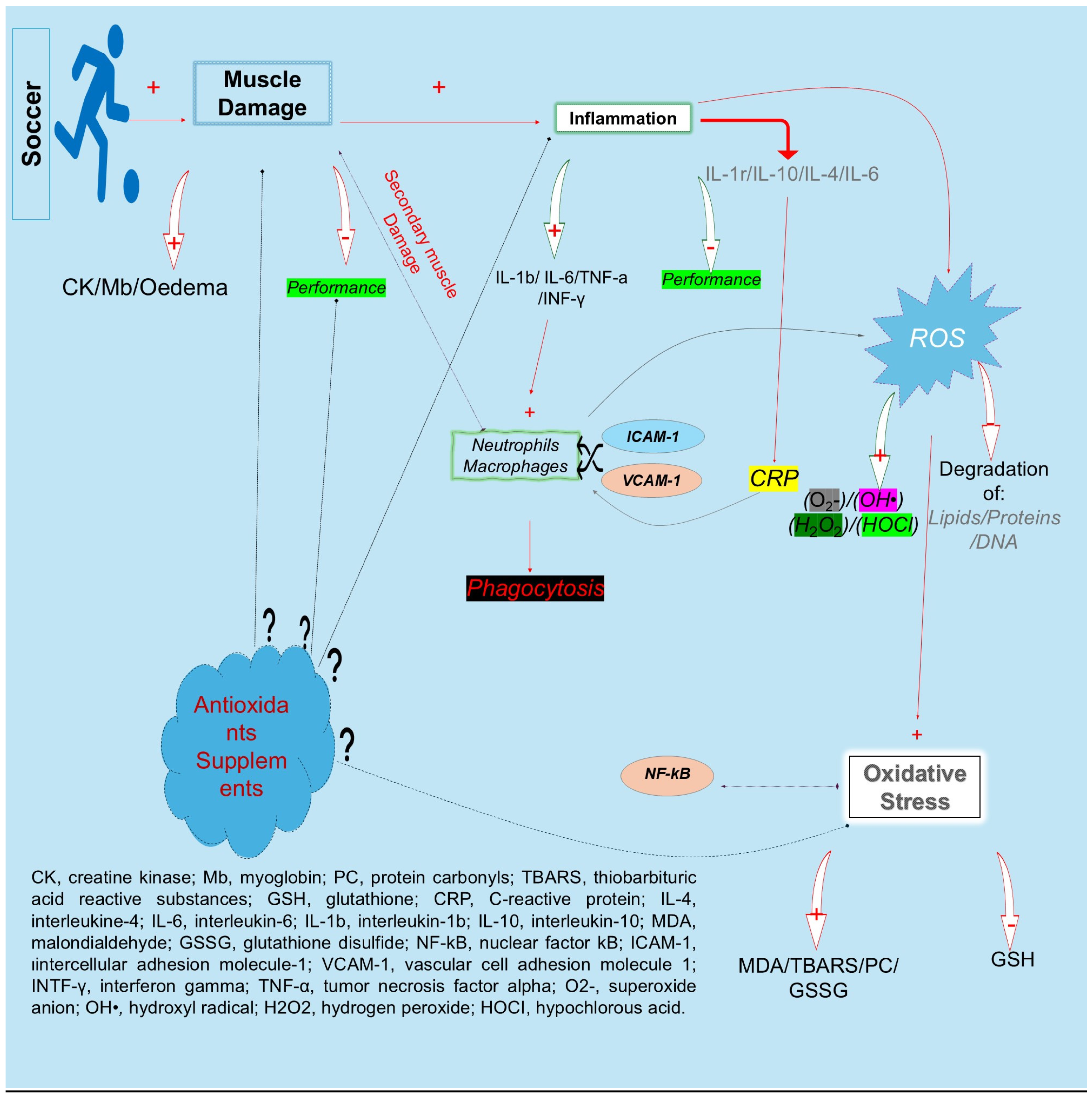 Nutrients 16 03803 g001