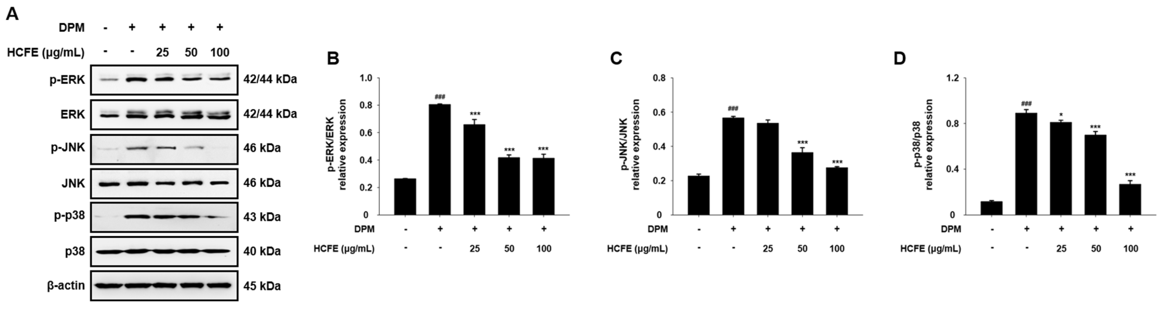 Nutrients 16 03805 g004