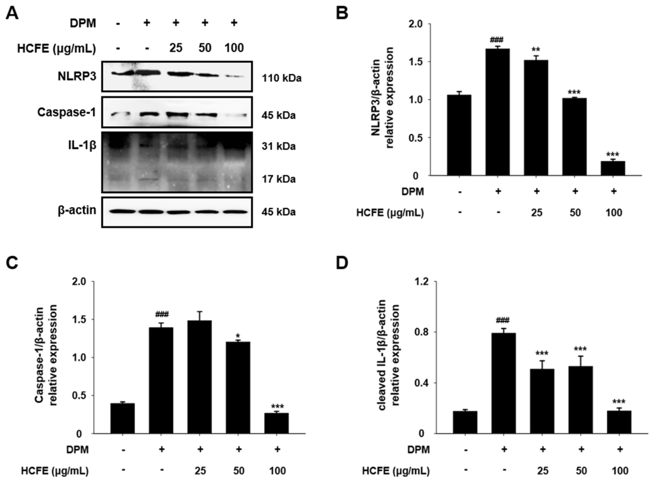 Nutrients 16 03805 g006