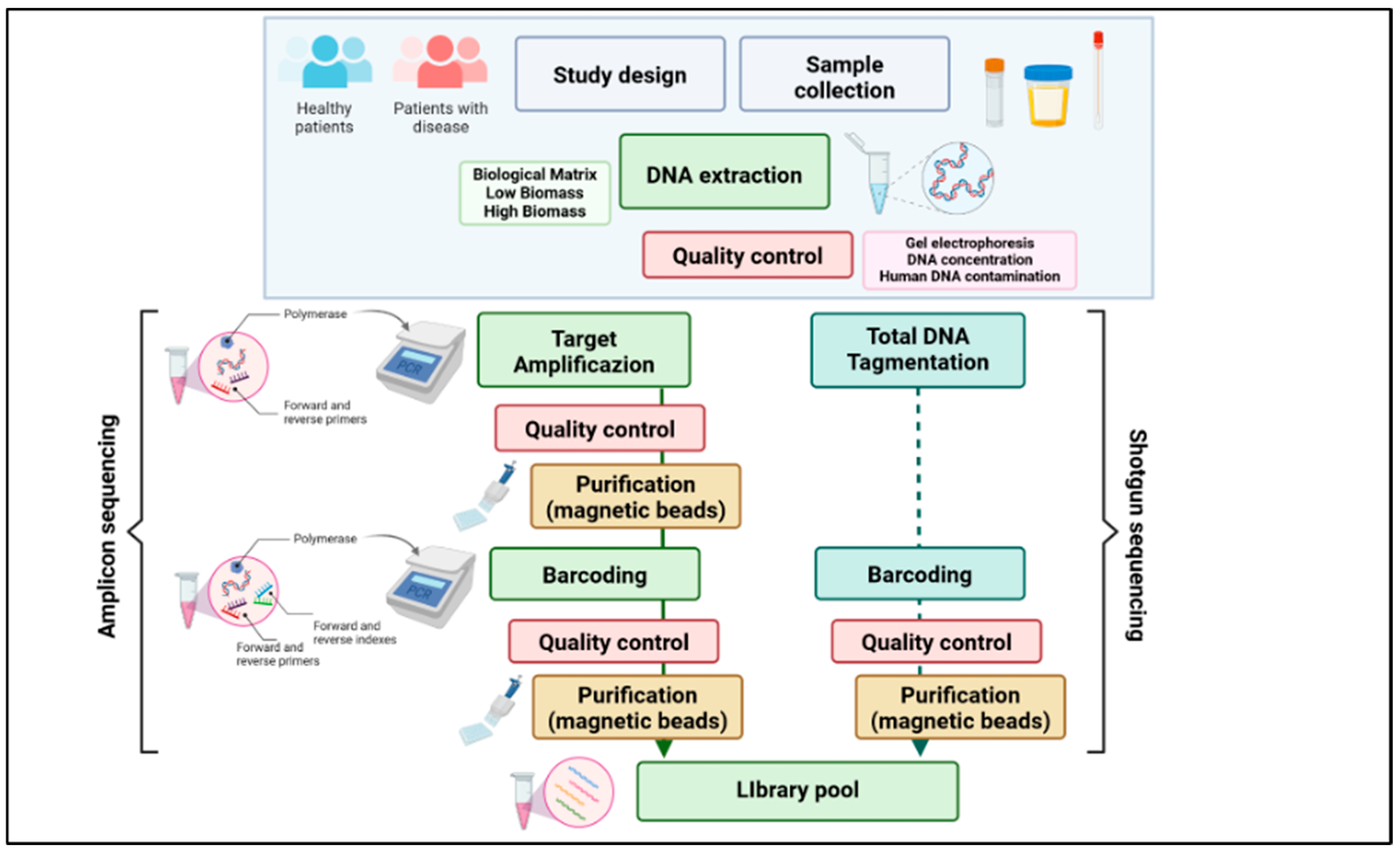 Nutrients 16 03806 g001