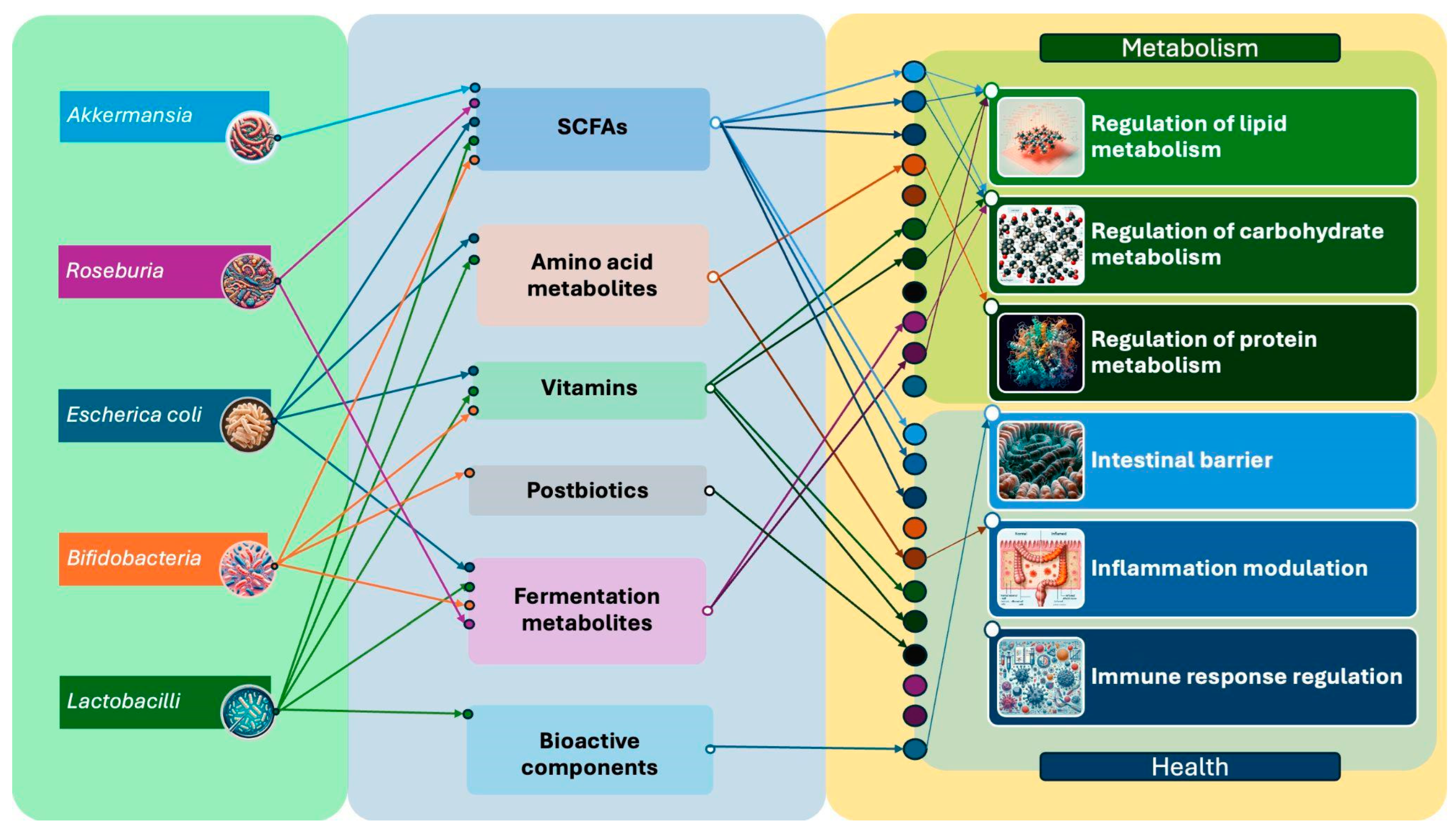 Nutrients 16 03806 g003