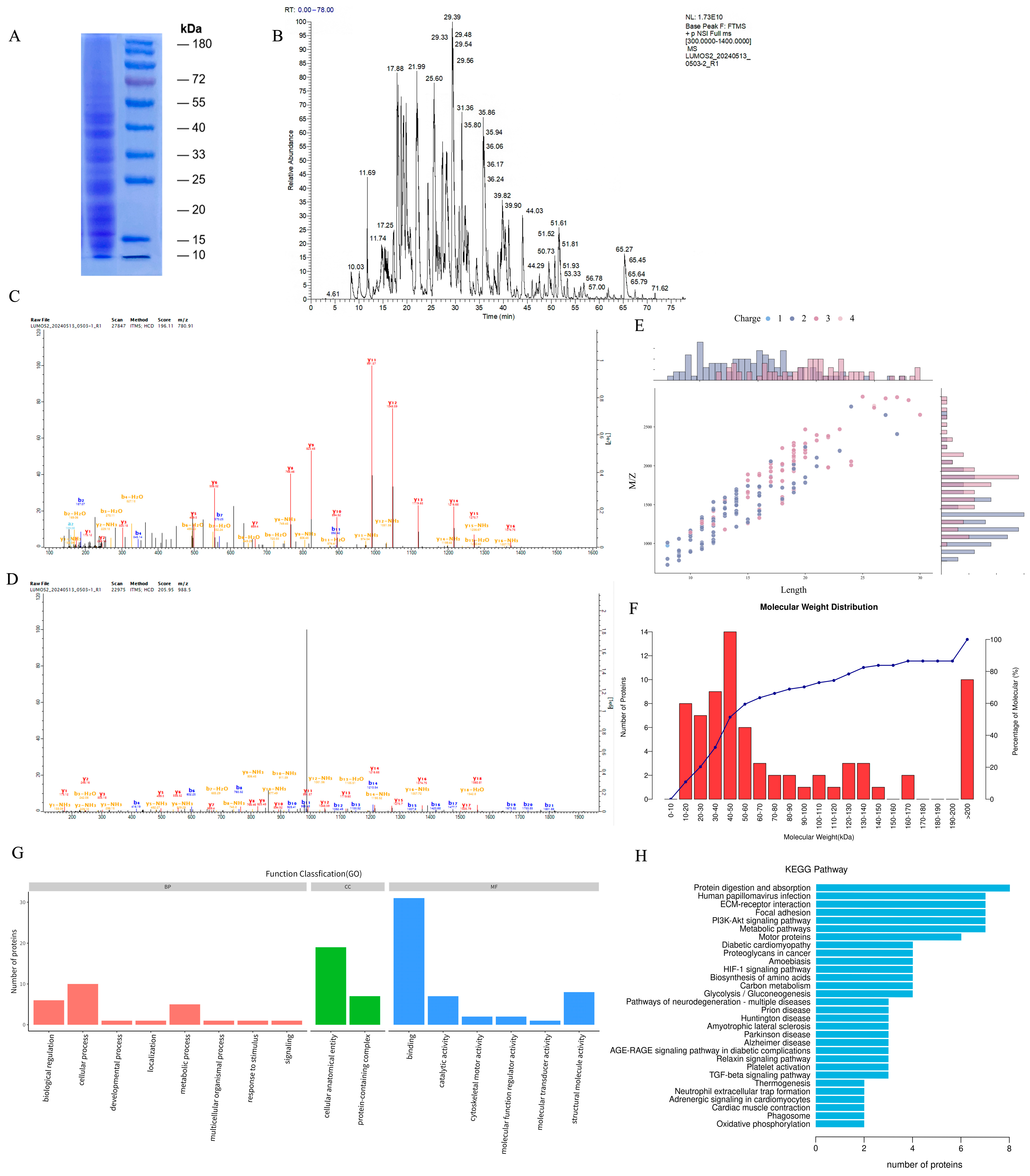 Nutrients 16 03807 g001
