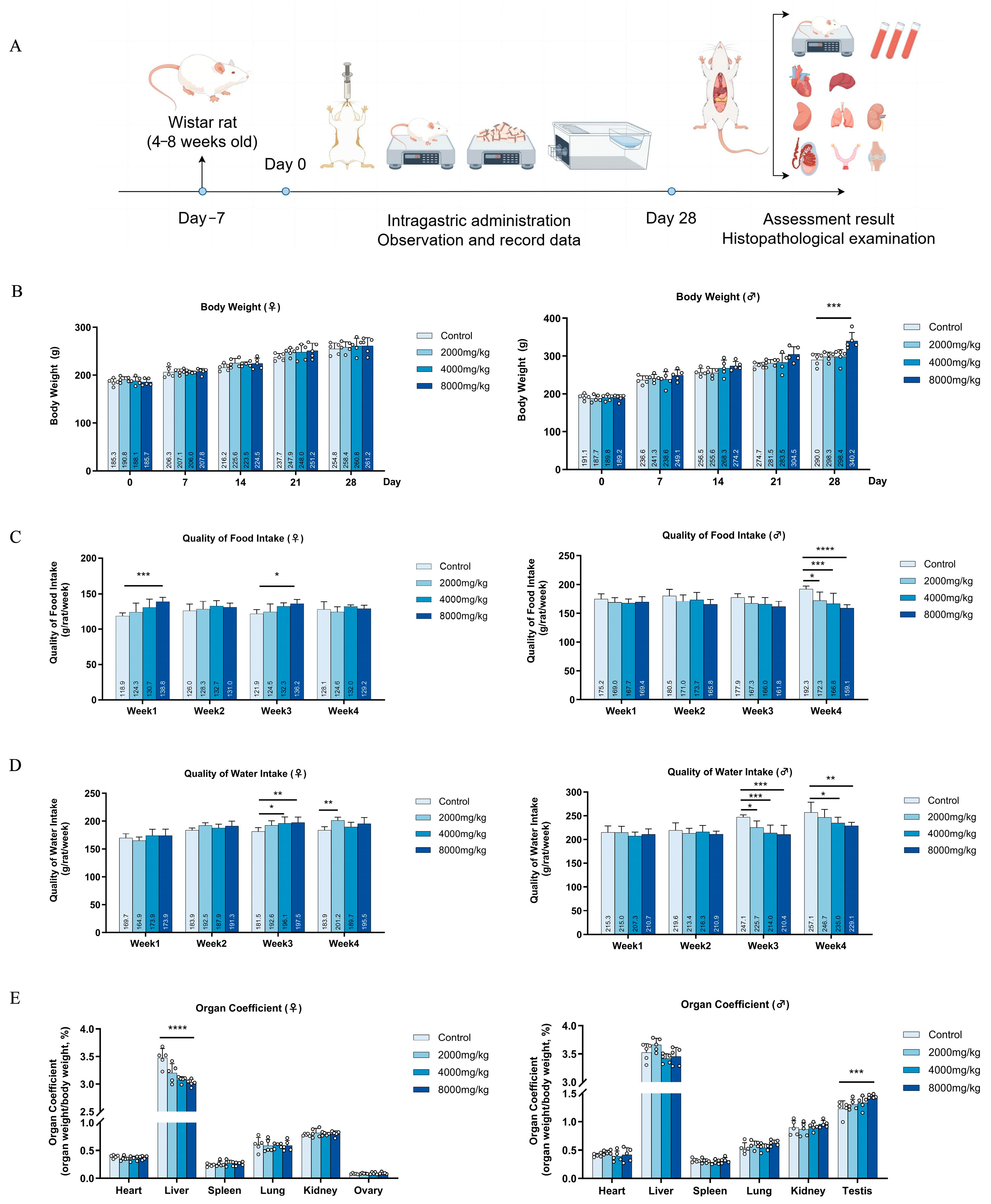 Nutrients 16 03807 g005