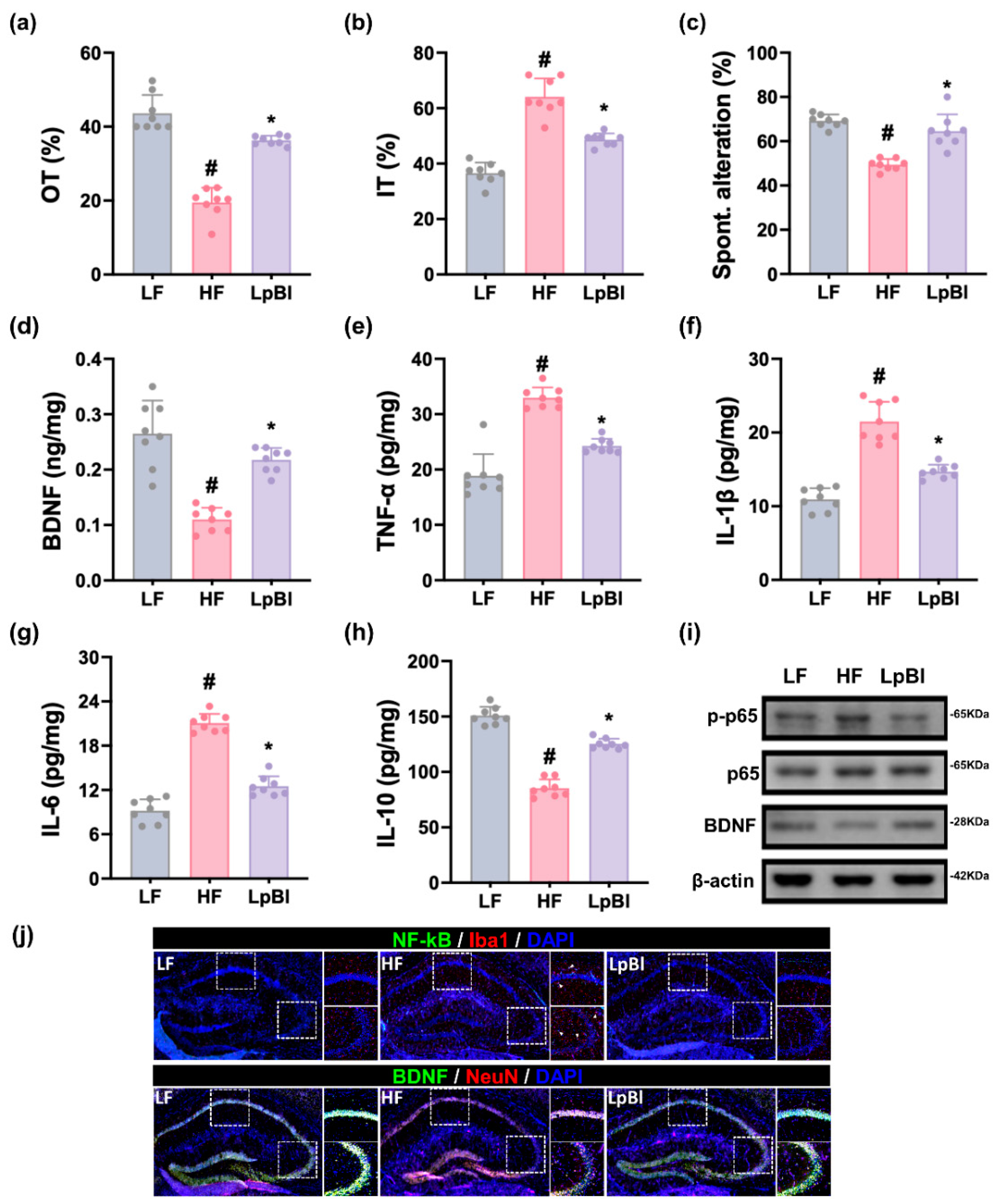 Nutrients 16 03810 g008 Nutrients 16 03810 g008