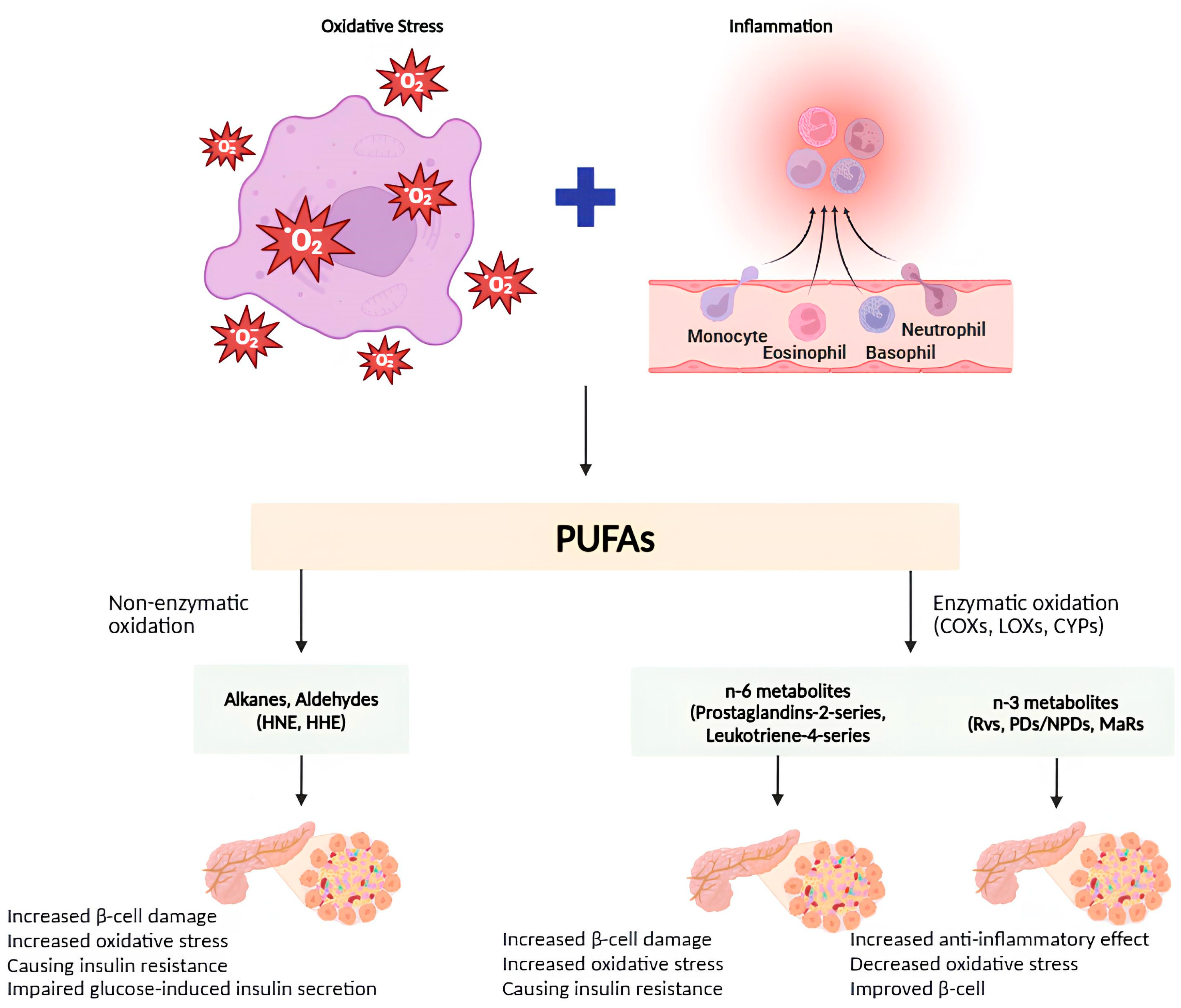 Nutrients 16 03812 g004