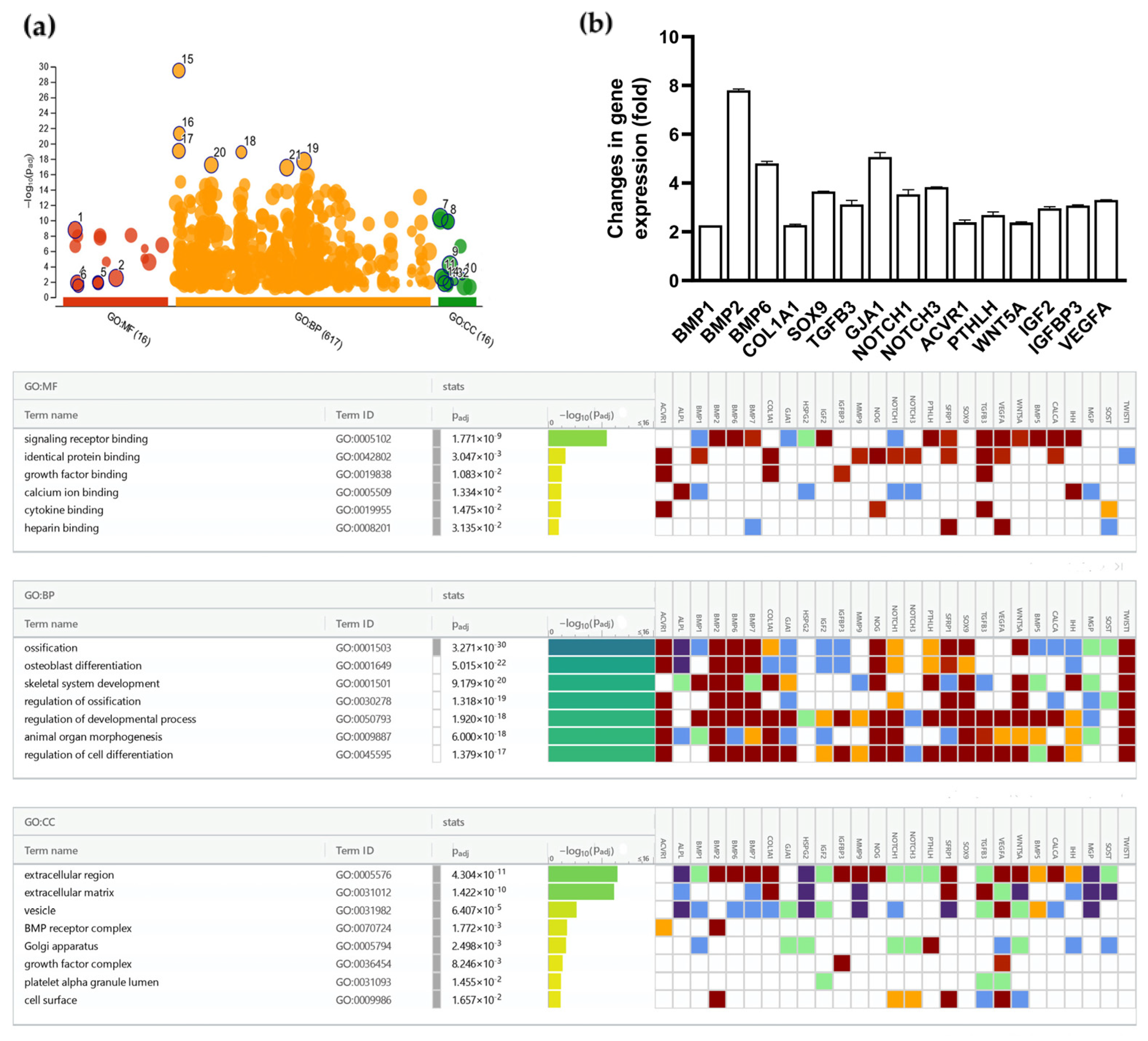 Nutrients 16 03814 g006