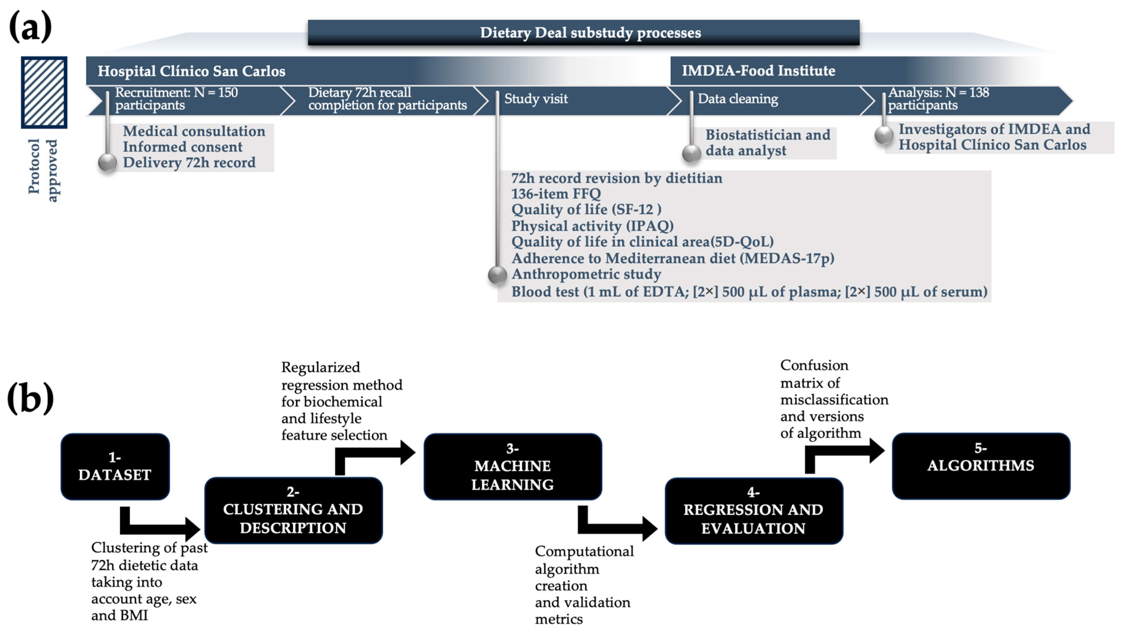 Nutrients 16 03817 g001