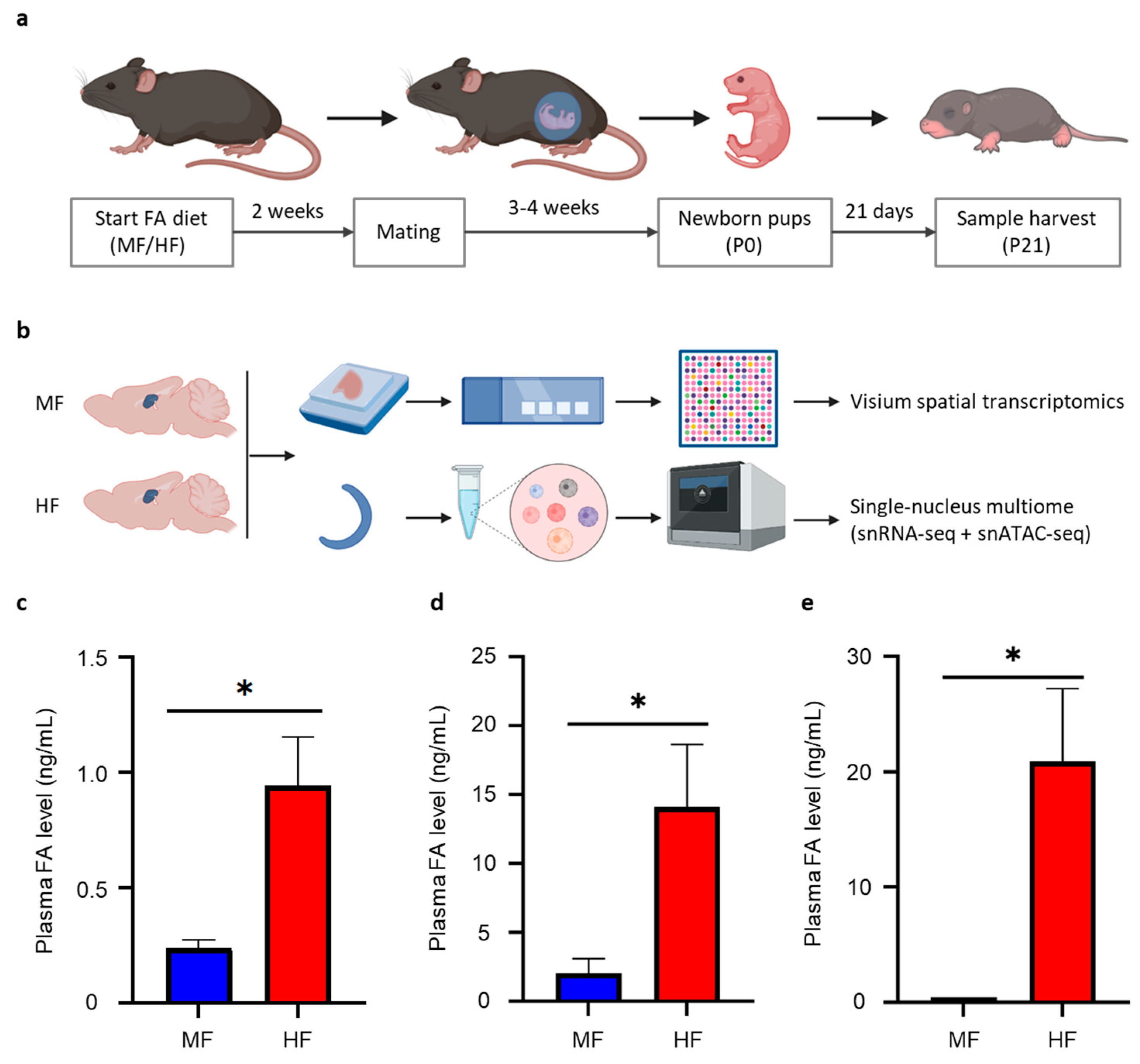Nutrients 16 03820 g001