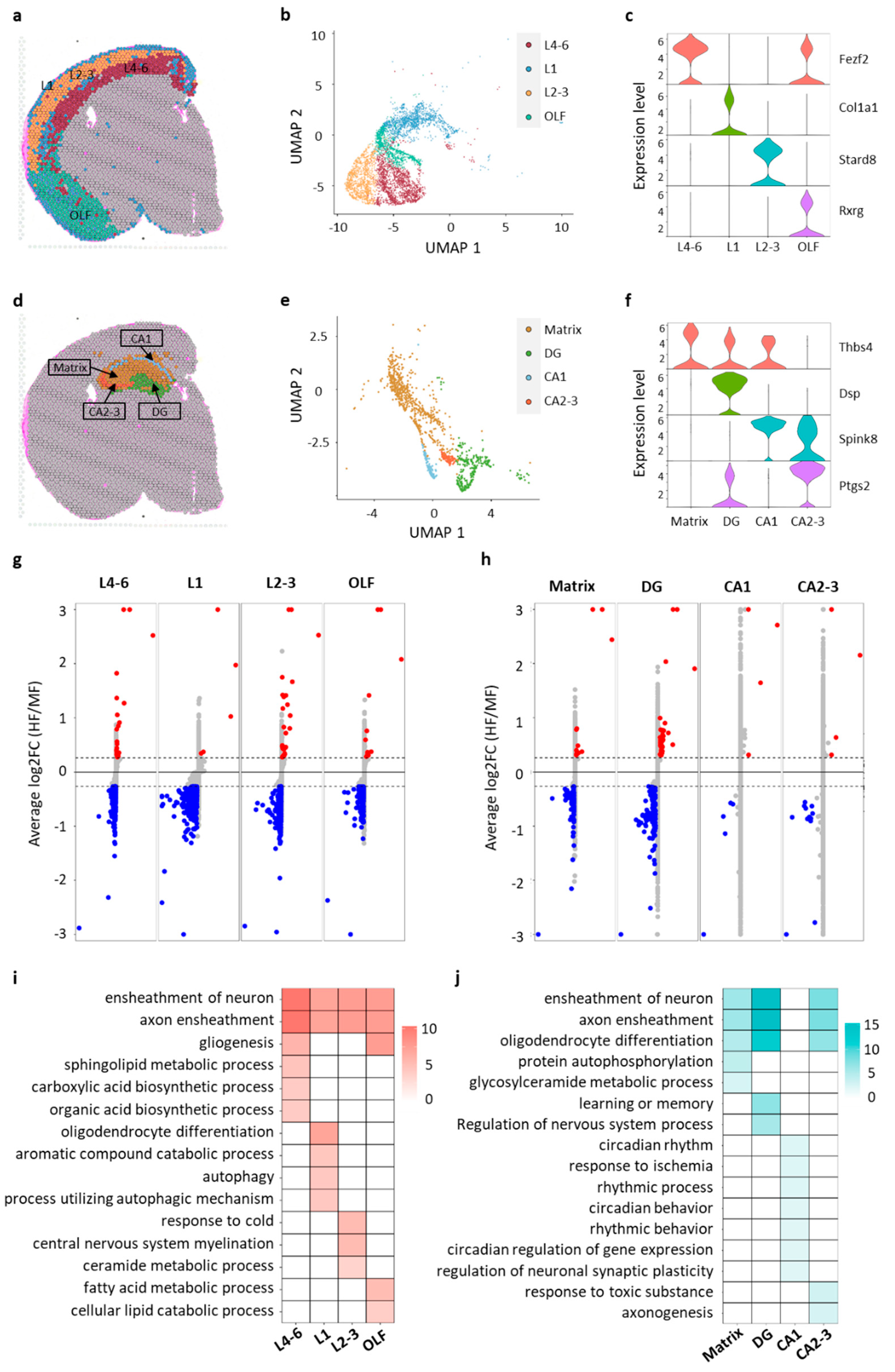Nutrients 16 03820 g003