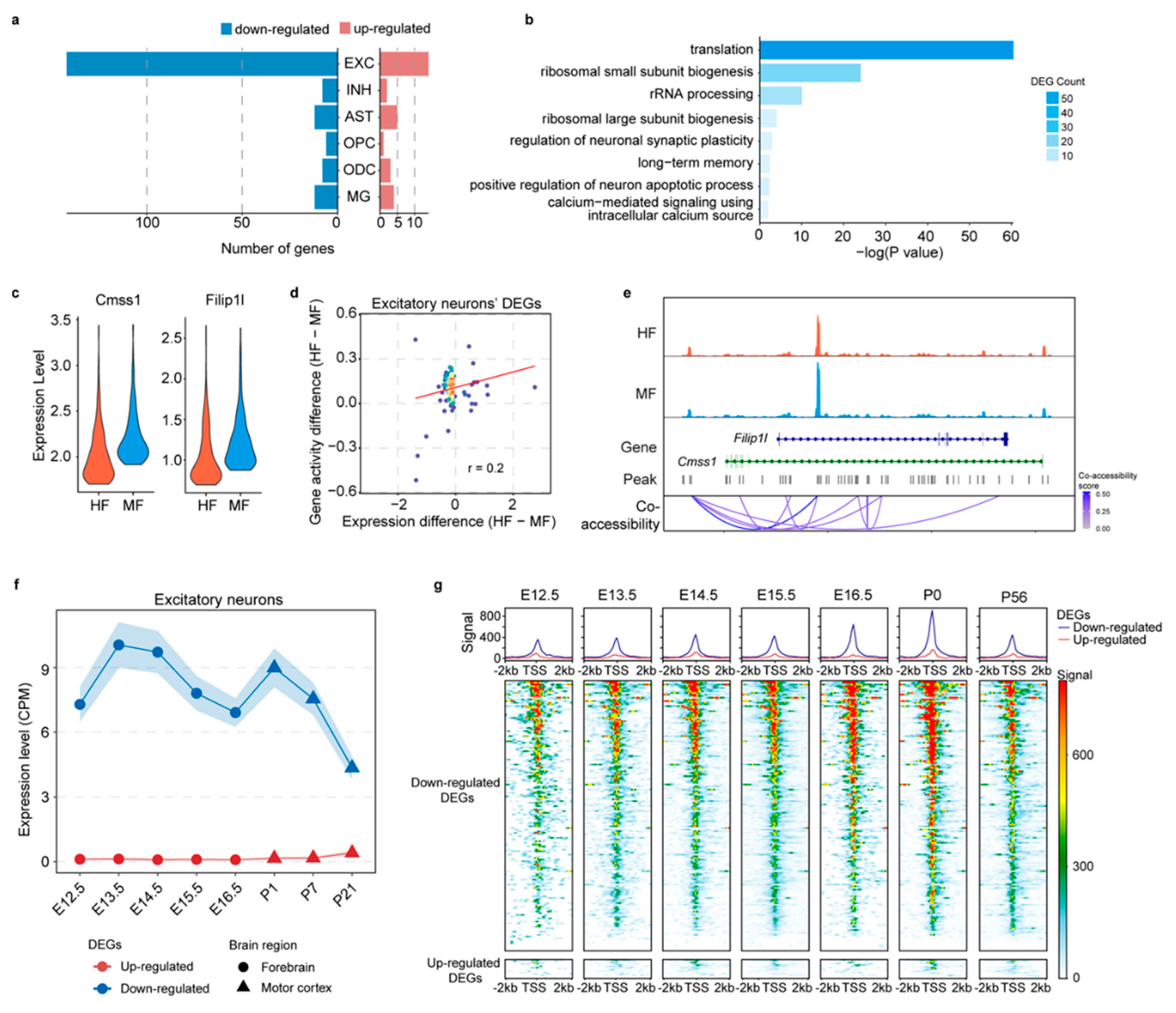 Nutrients 16 03820 g005