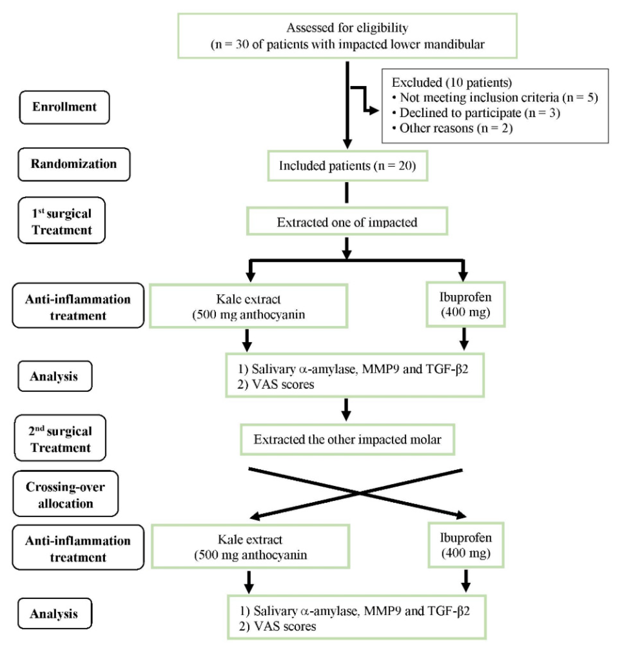 Nutrients 16 03821 g001