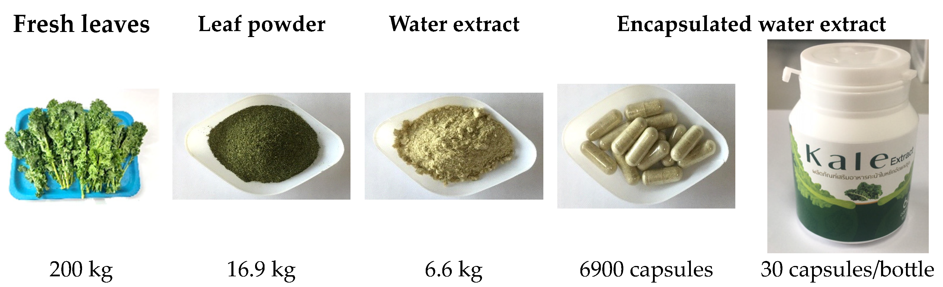 Nutrients 16 03821 g002