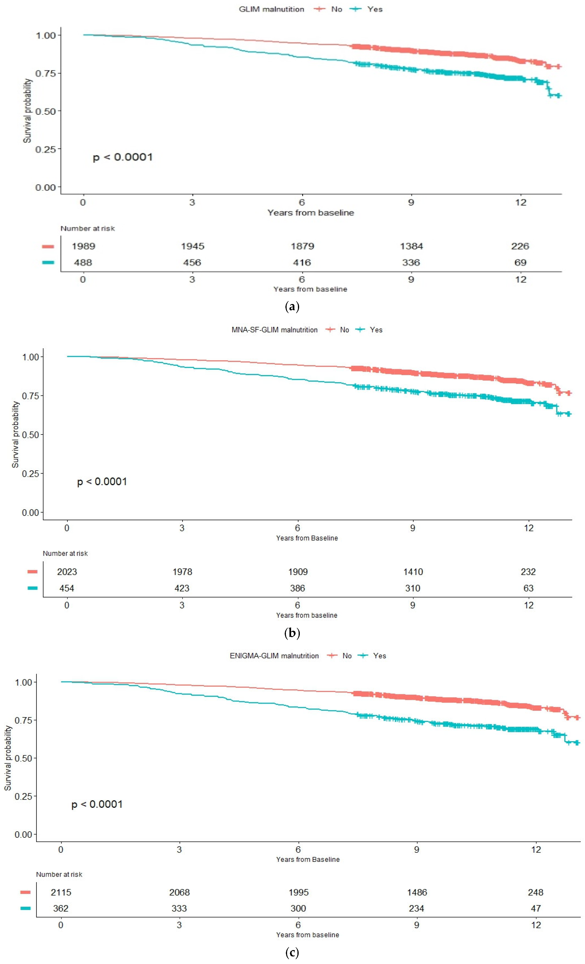 Nutrients 16 03823 g001