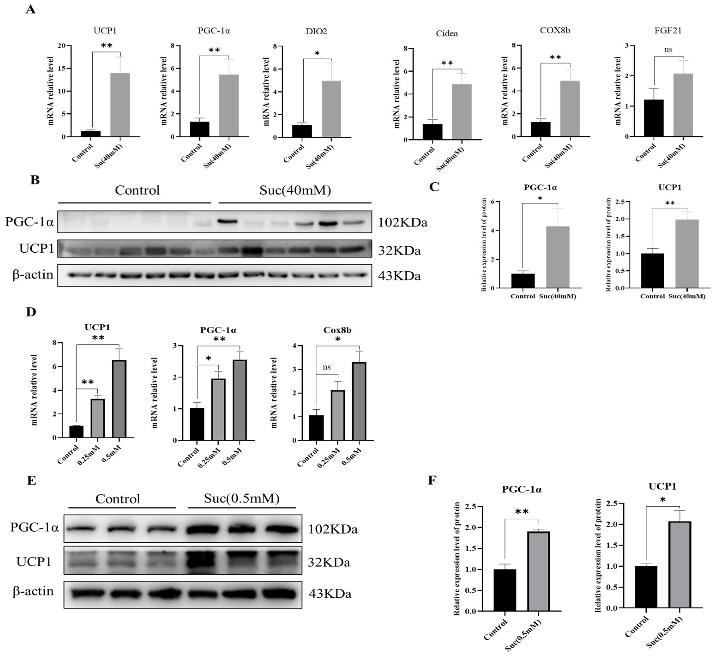Nutrients 16 03828 g003