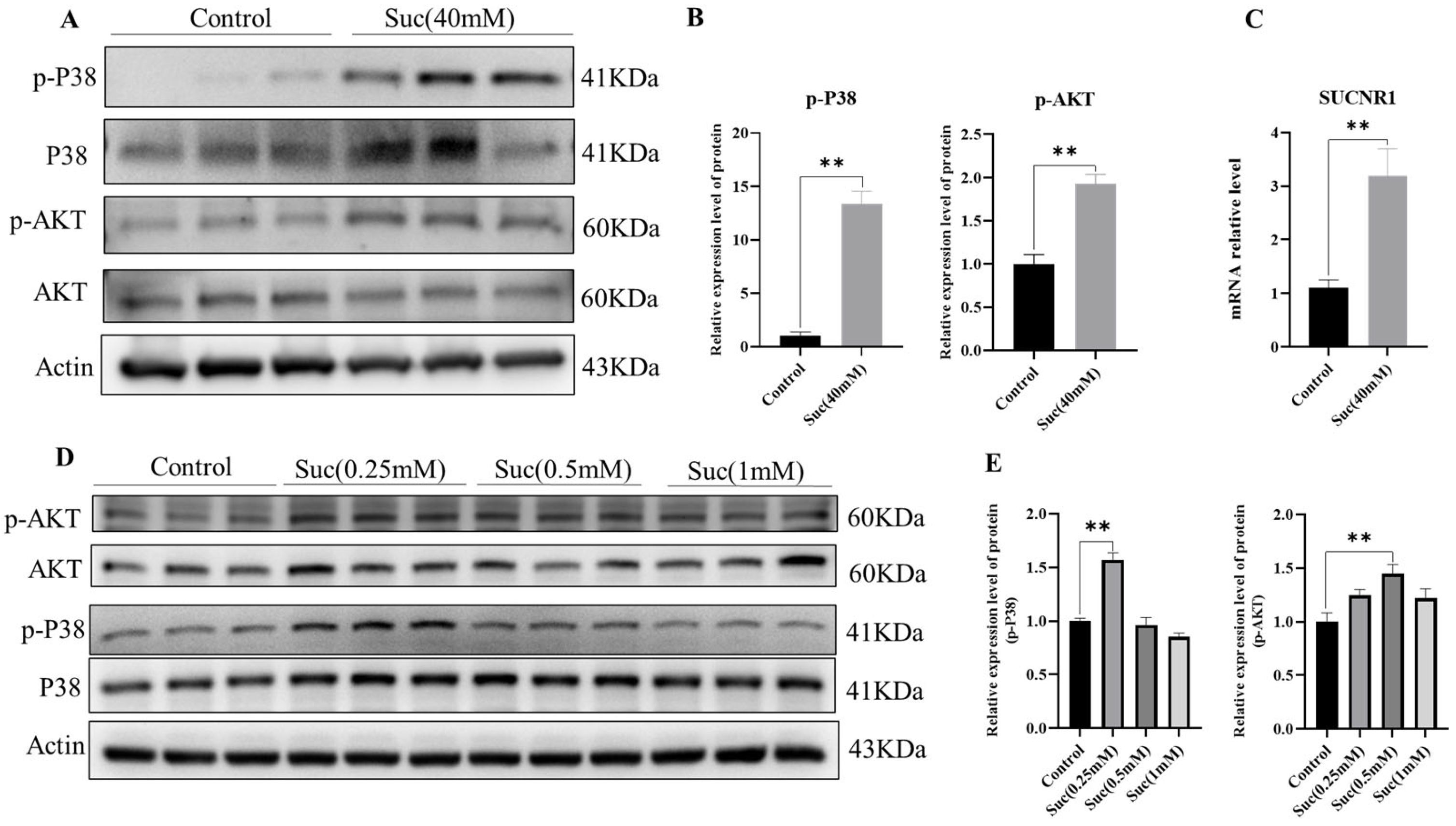 Nutrients 16 03828 g005