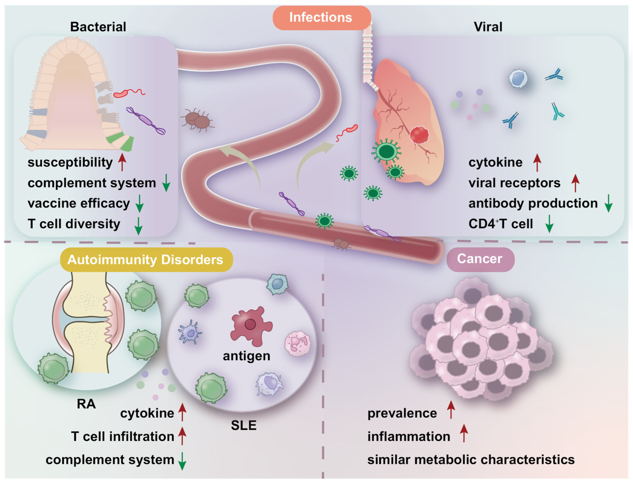 Nutrients 16 03830 g003