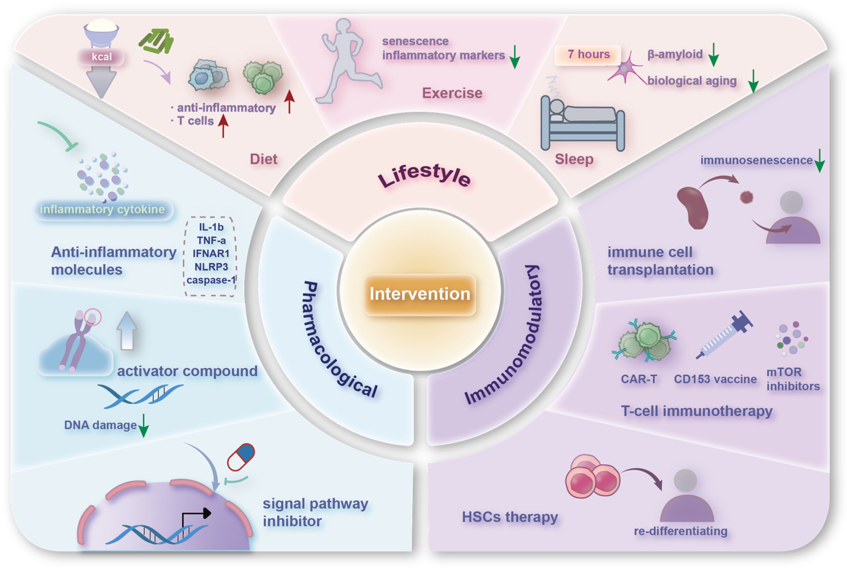 Nutrients 16 03830 g005