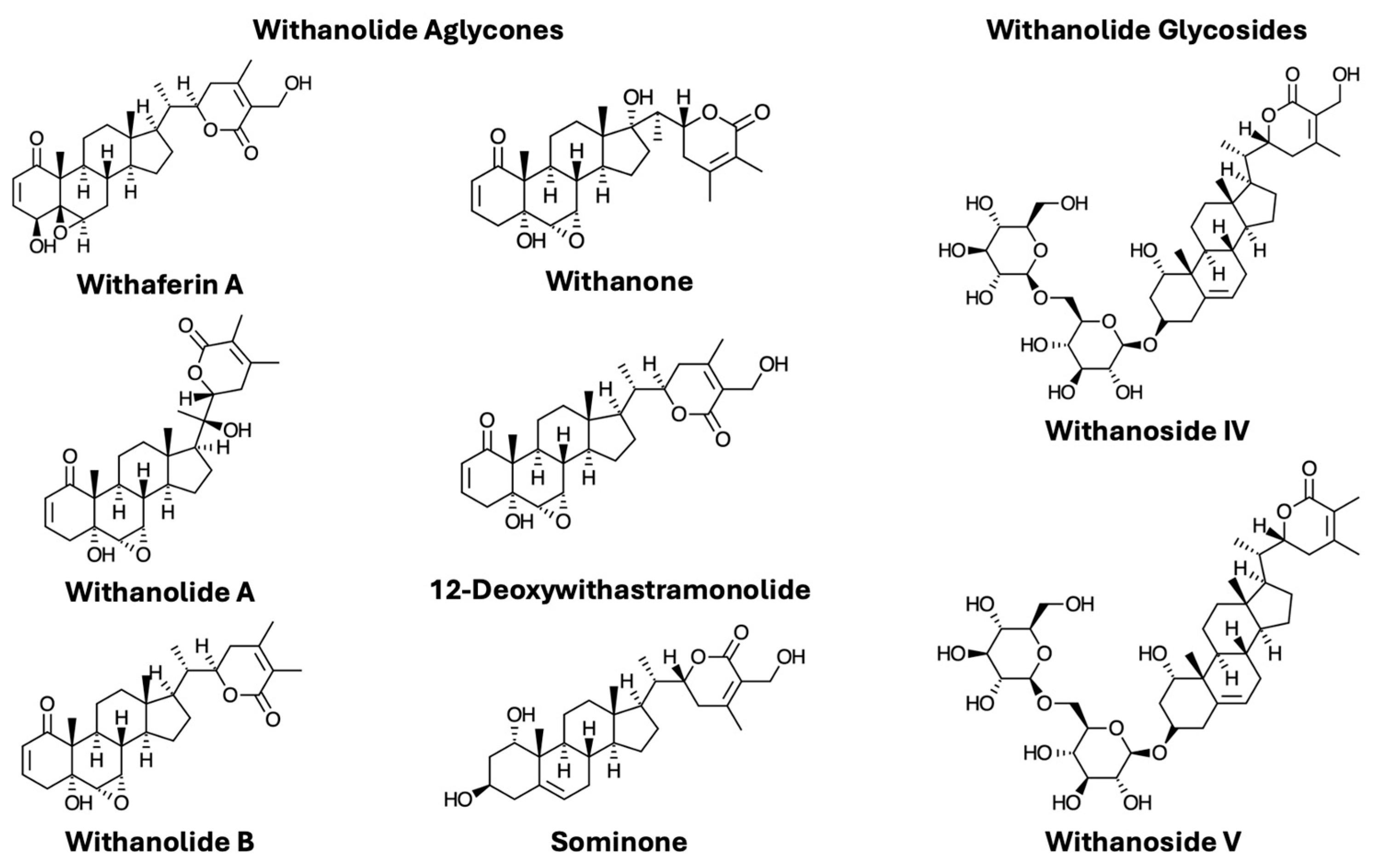 Nutrients 16 03836 g001 Nutrients 16 03836 g001