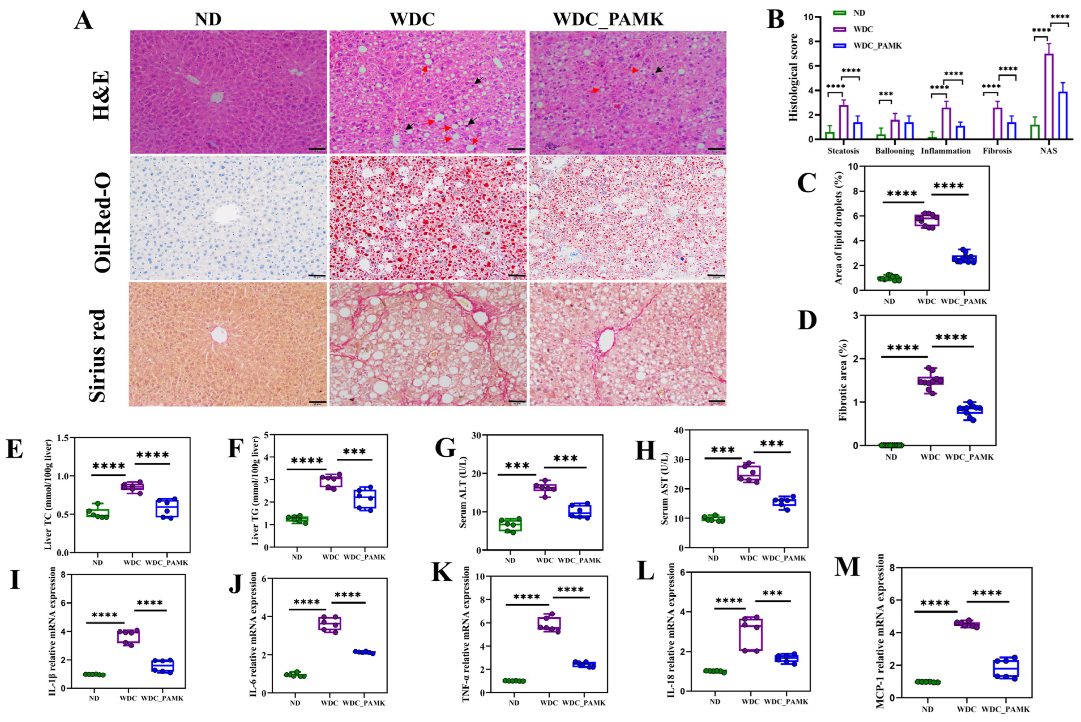 Nutrients 16 03837 g002