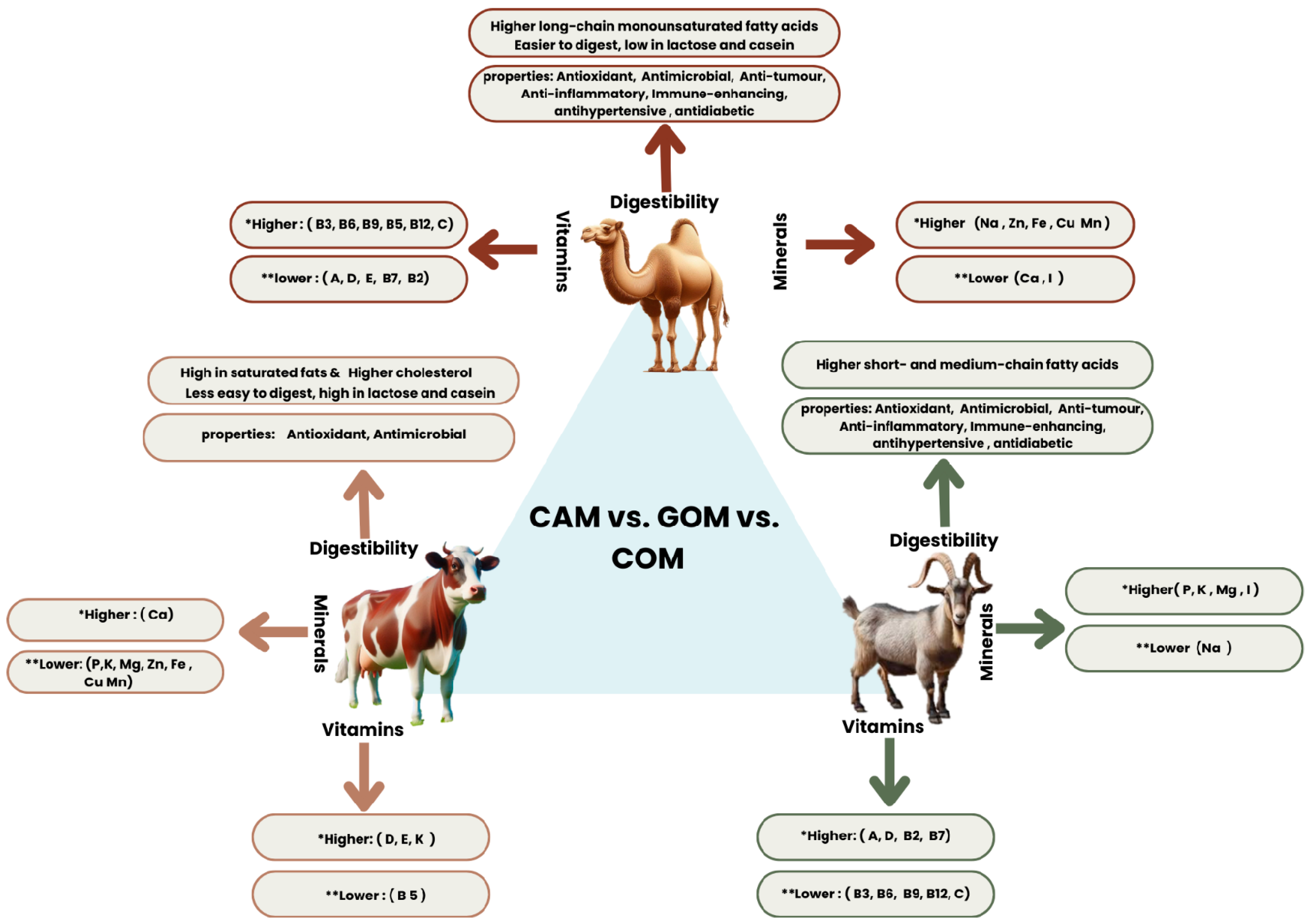 Nutrients 16 03848 g001