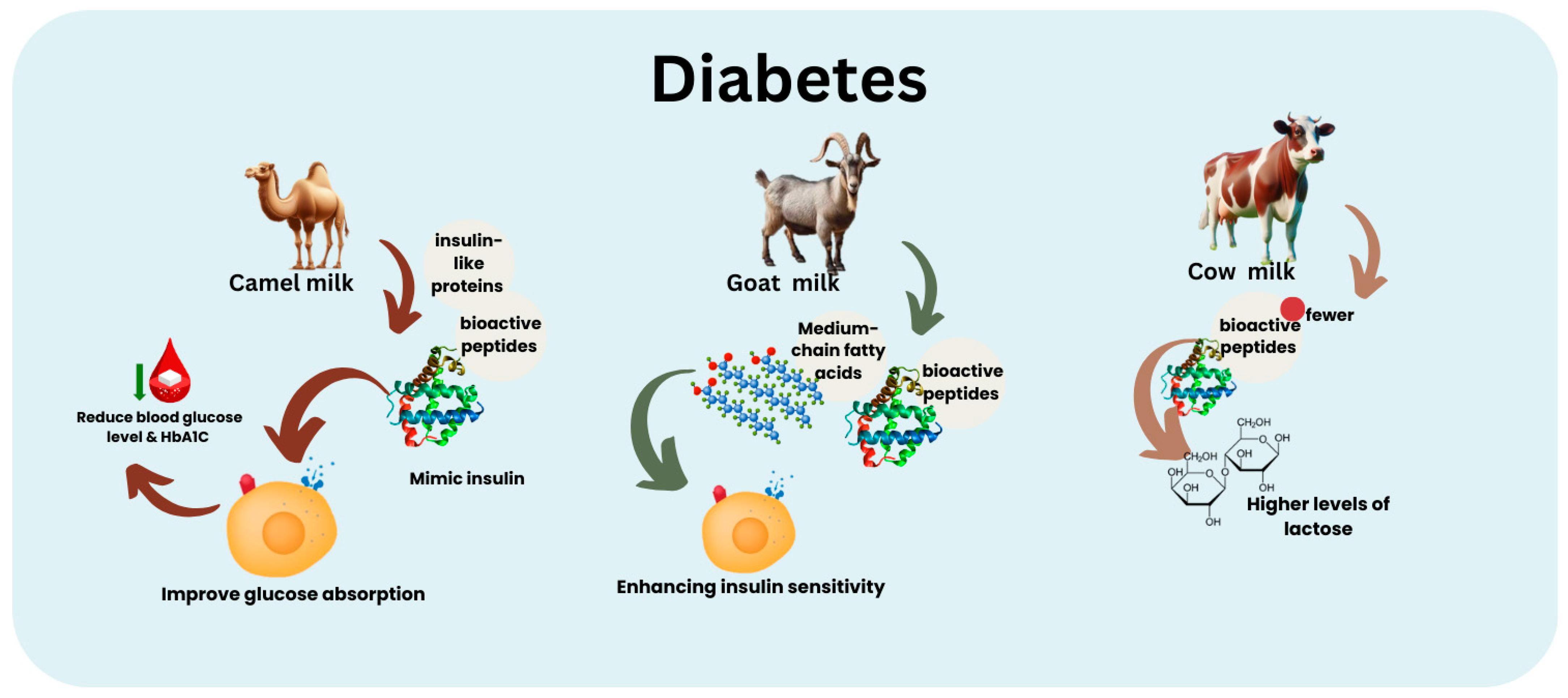 Nutrients 16 03848 g002