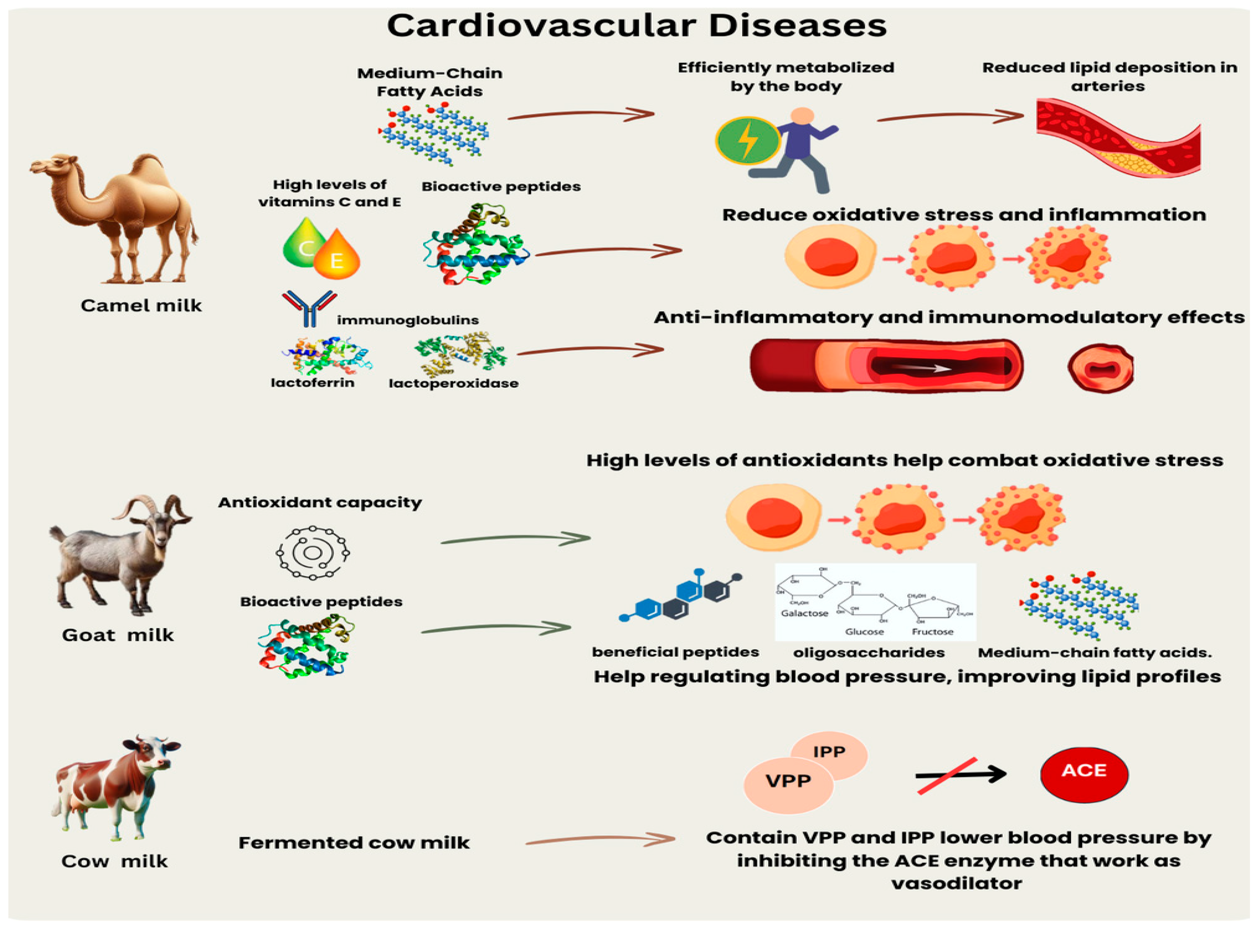 Nutrients 16 03848 g003